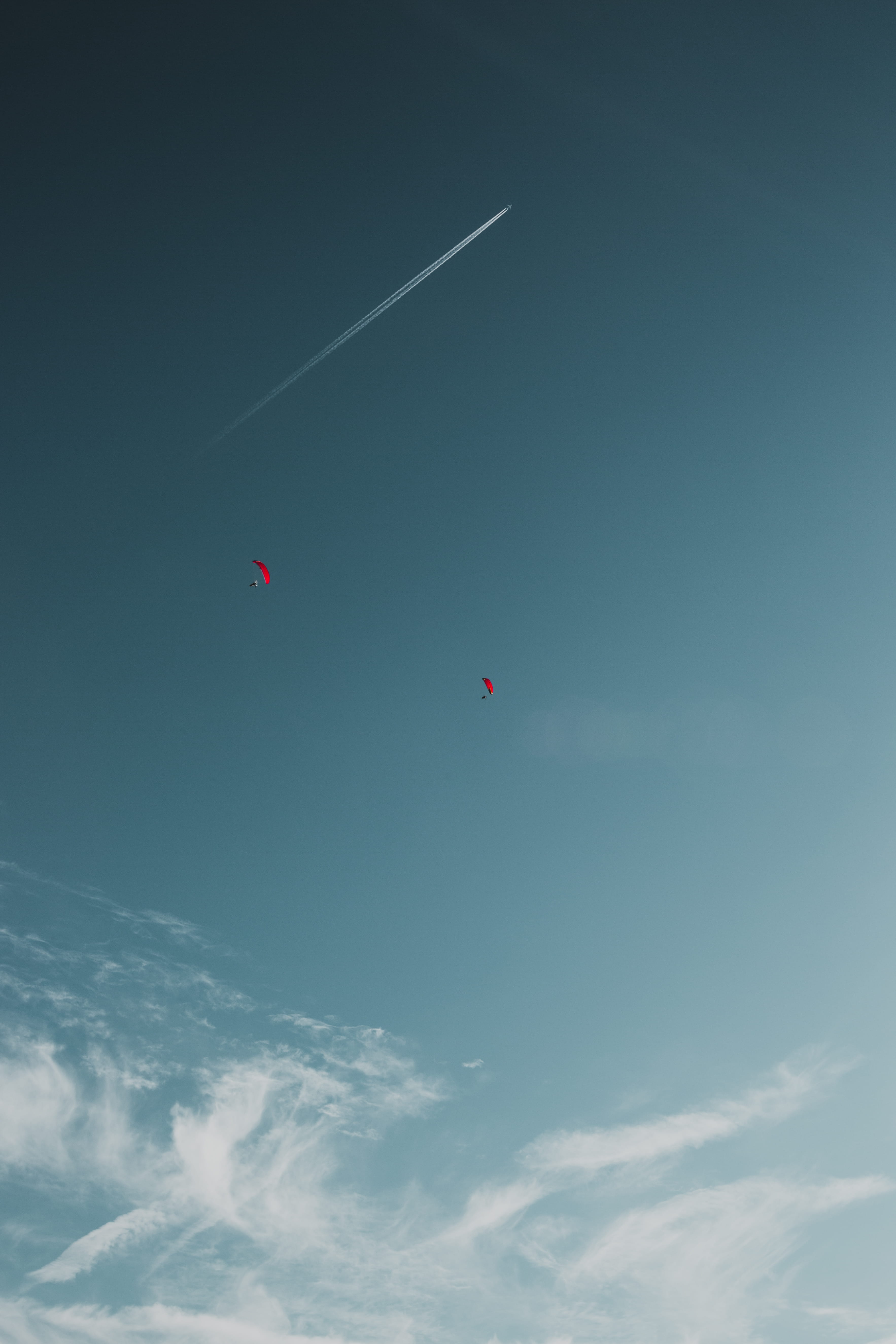 flight, light, scenics - nature, animal, leisure activities, nature, sun, vehicle, low angle view, aircraft, flying, vapor trail, bird, flare, azure sky, Phone HD Wallpaper