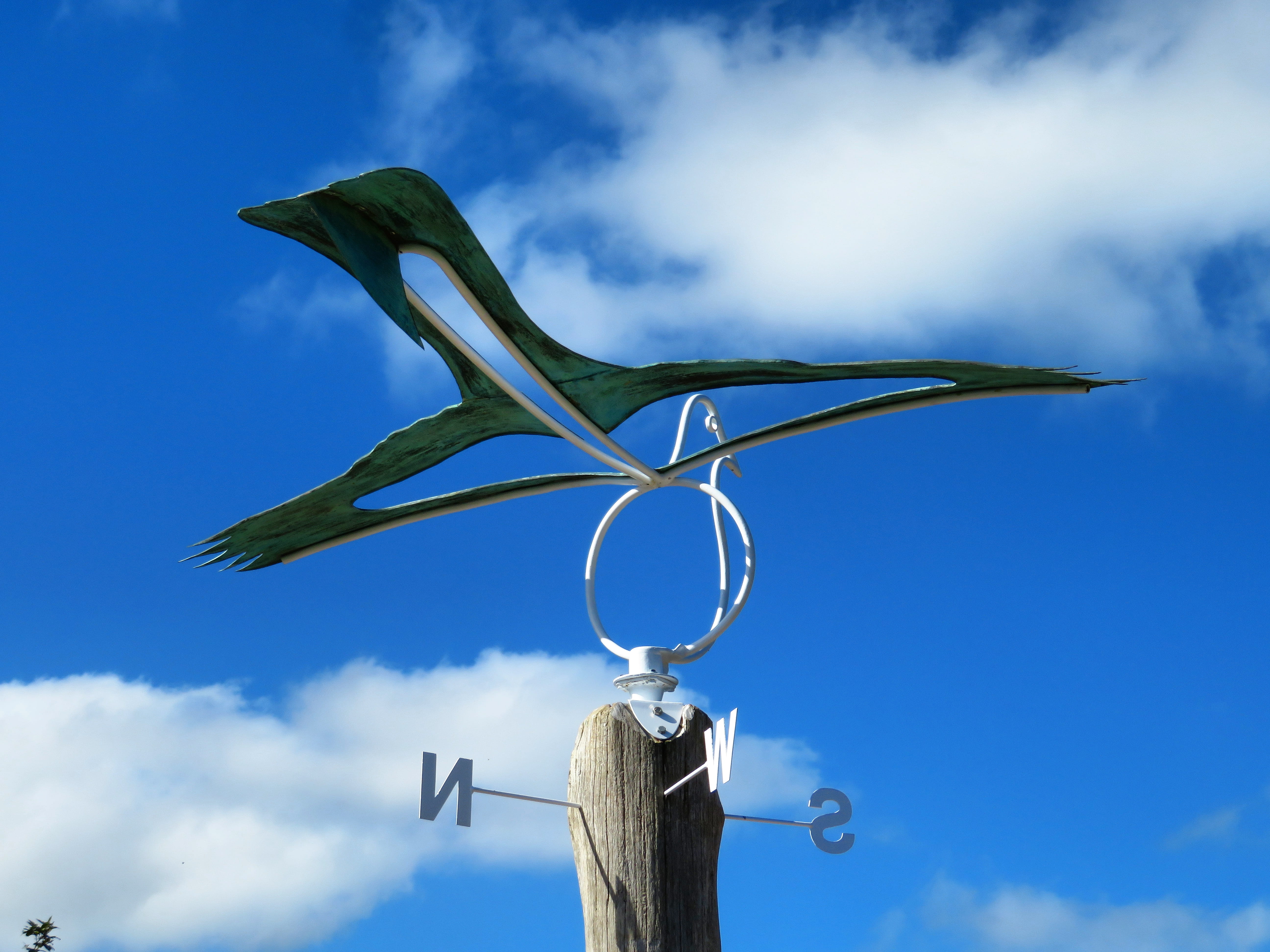animal representation, kite, fish, no people, azure sky, 5K, creativity, sunlight, cloud - sky, blue, animal, day, art and craft, animal themes, plant, HD Wallpaper