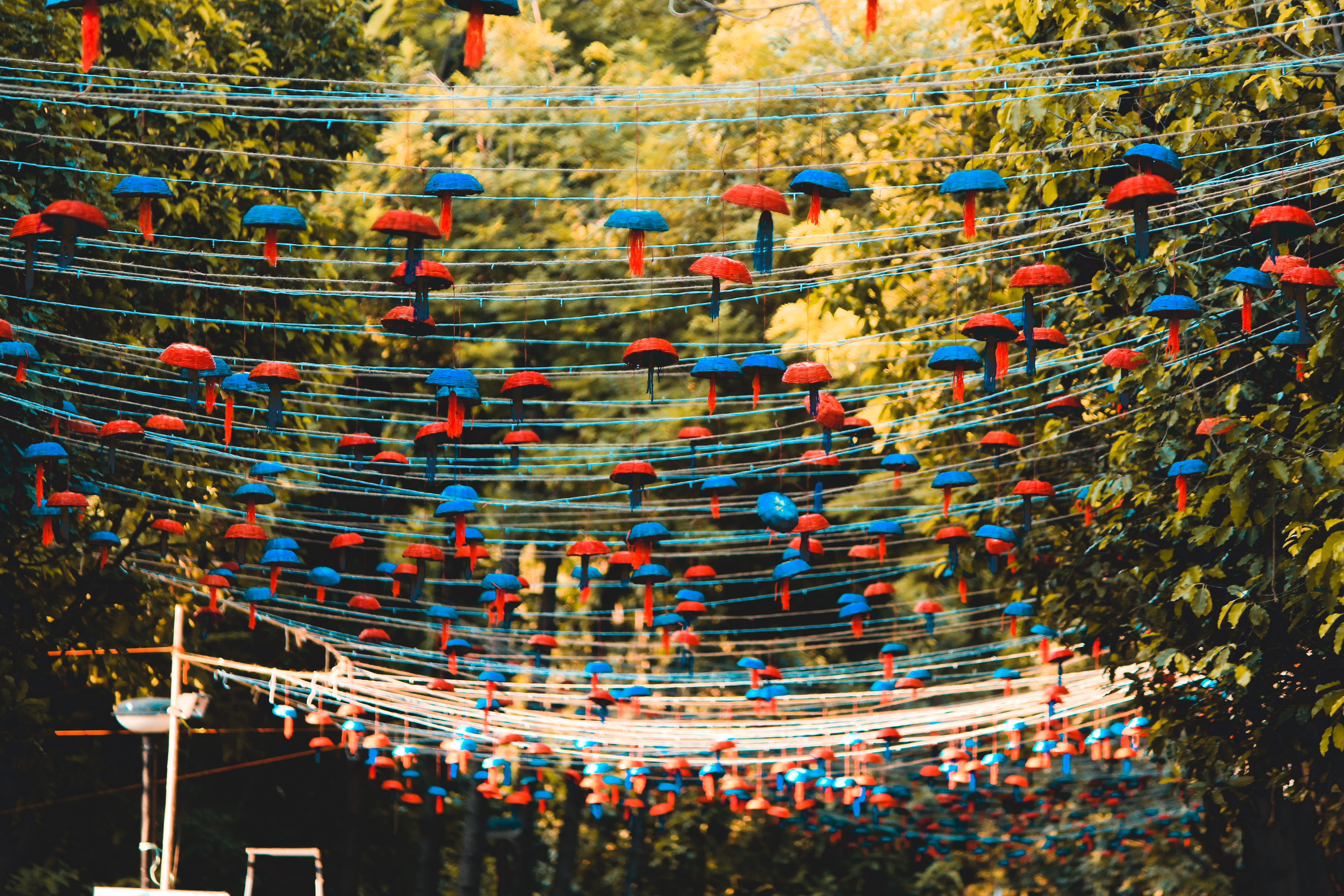 carnival, animal, plant, day, ornament, architecture, multi colored, tree, no people, bird, decors, low angle view, abundance, large group of objects, led, HD Wallpaper