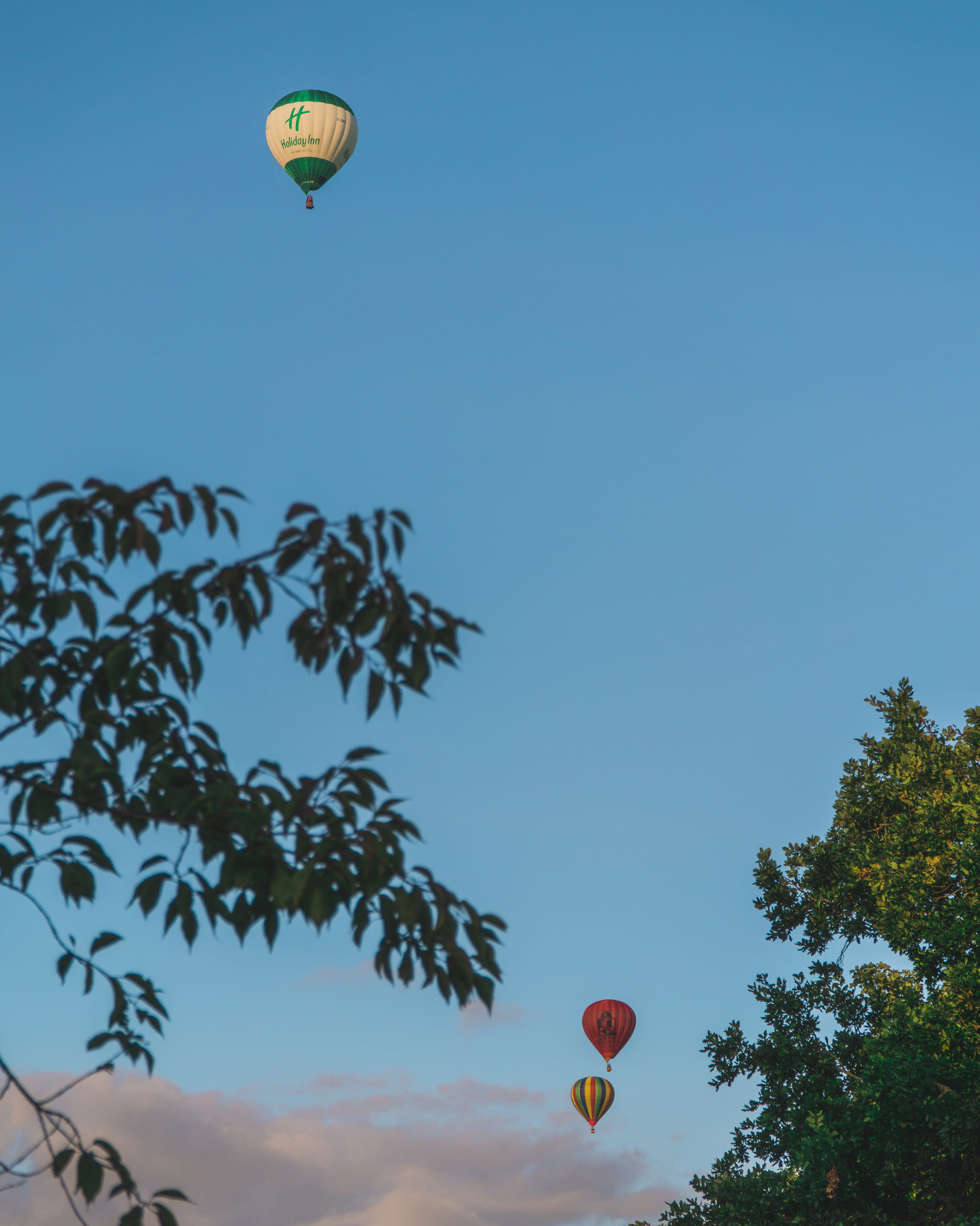 travel, mid-air, tree, color, soil, origami, freedom, mode of transportation, air vehicle, outdoors, nature, gliding, art, 2K, day, parachute, ballooning festival, Phone HD Wallpaper