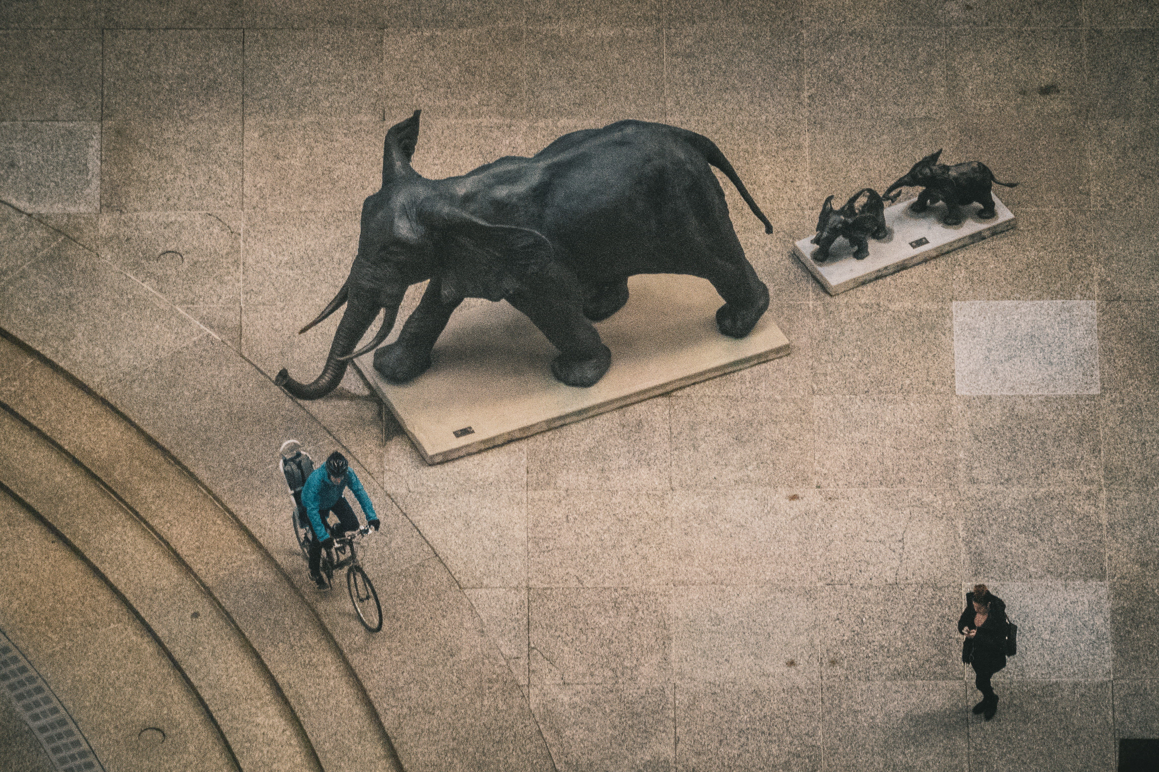 canine, animal, transportation, pet, high angle view, clothing, apparel, bike, cyclist, 4K, city, group of animals, people, dog, day, street, pets, walking, HD Wallpaper
