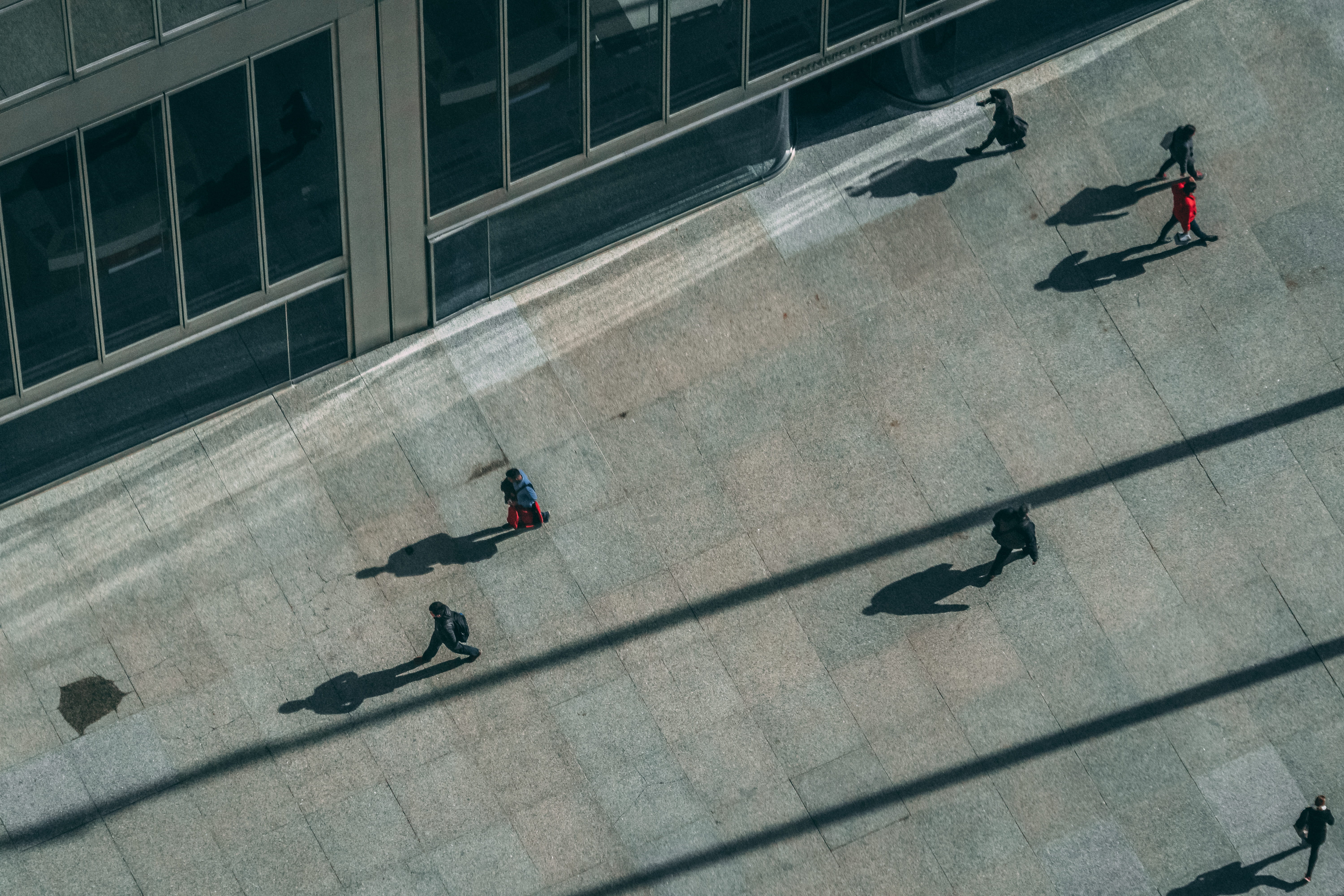 agelaius, day, street, transportation, shadow, apparel, urban, sunlight, downtown, pigeon, tarmac, architecture, flooring, outdoors, blackbird, building, HD Wallpaper
