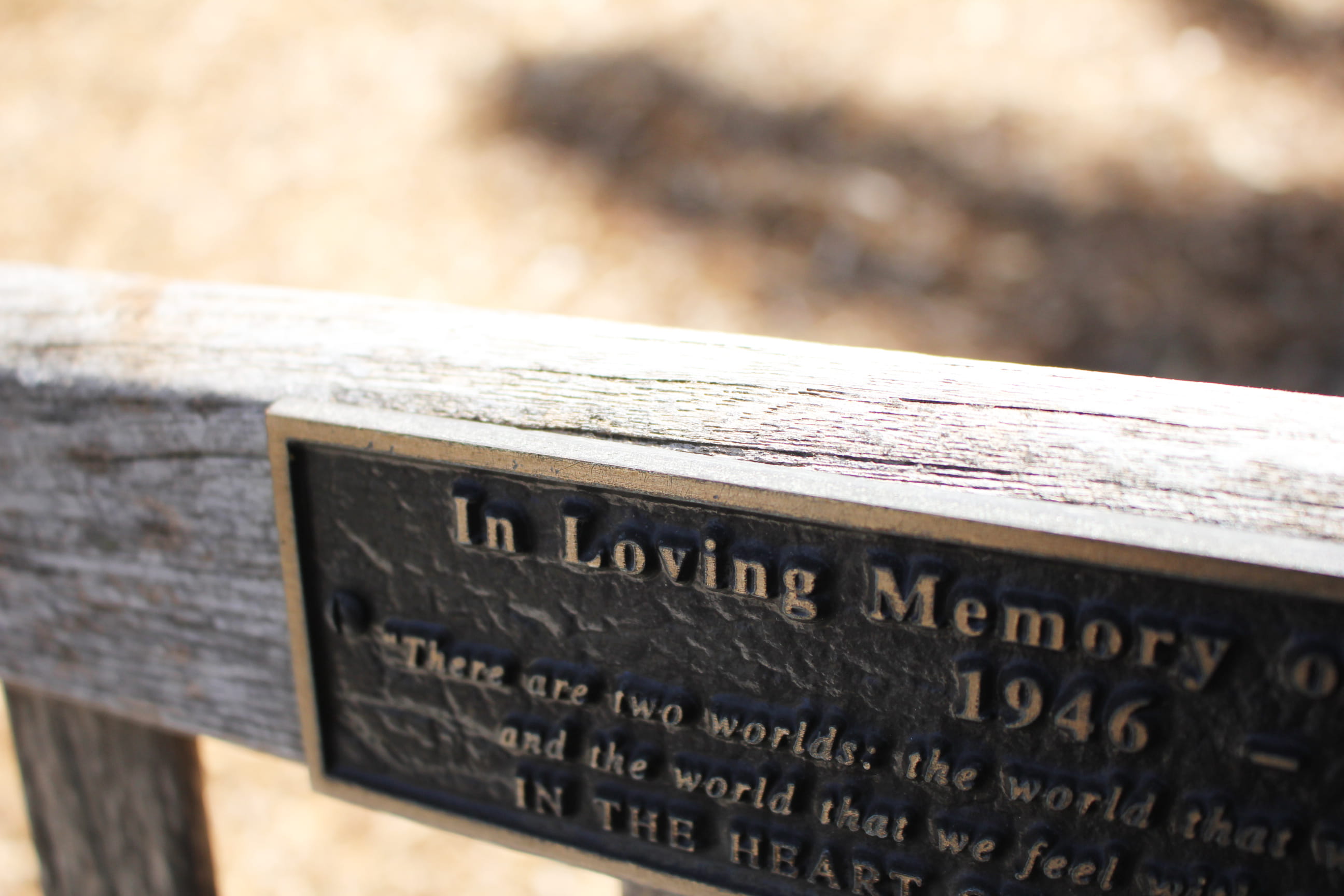 guidance, text, memory, 2K, information, memorial, garden, wood - material, belief, in, communication, no people, proud, plaque, the past, selective focus, HD Wallpaper