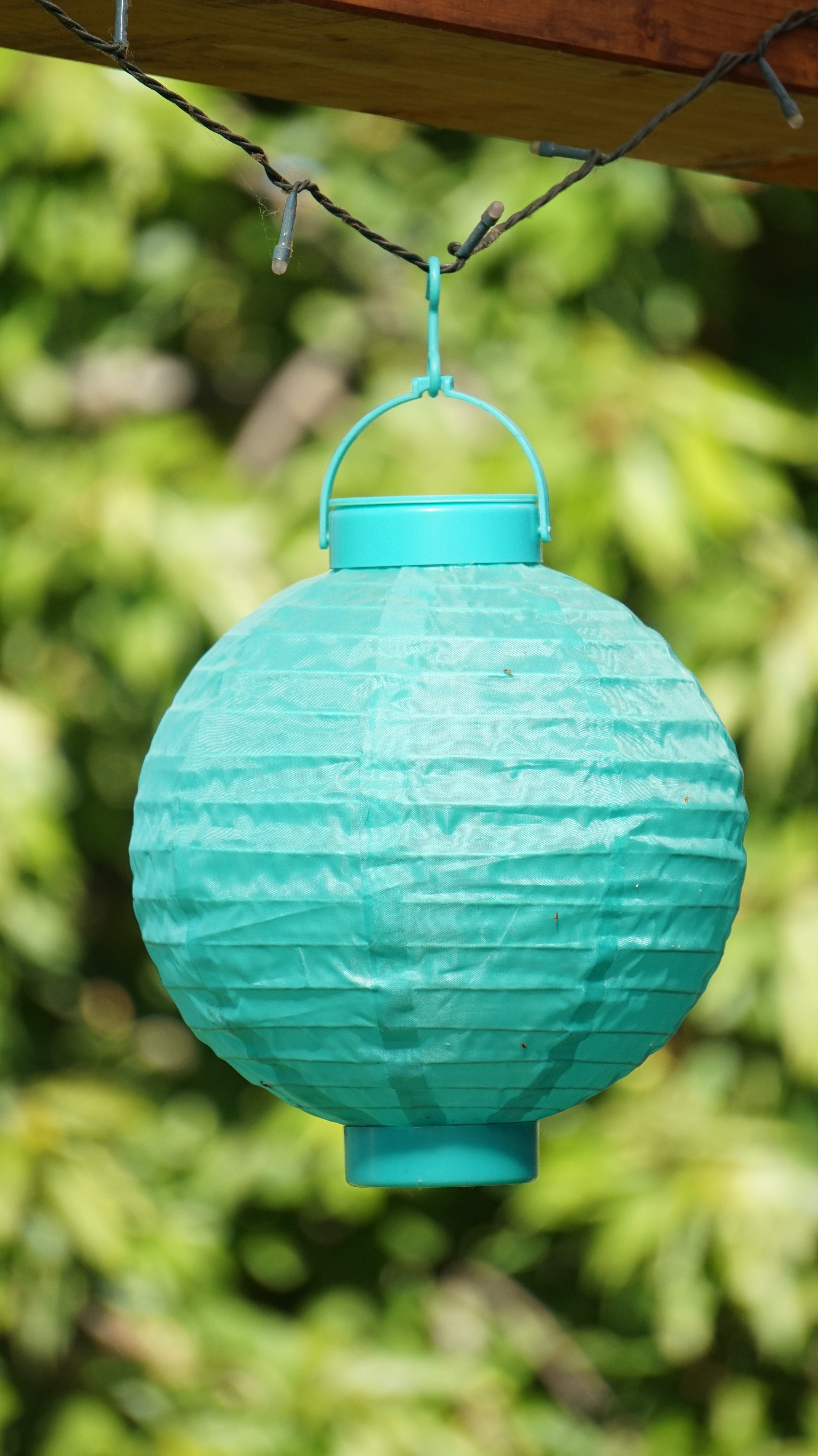 tree, no people, hanging, turquoise colored, front or back yard, day, lampion, plant, 5K, green color, summer, sunlight, decoration, nature, blue, shape, Phone HD Wallpaper
