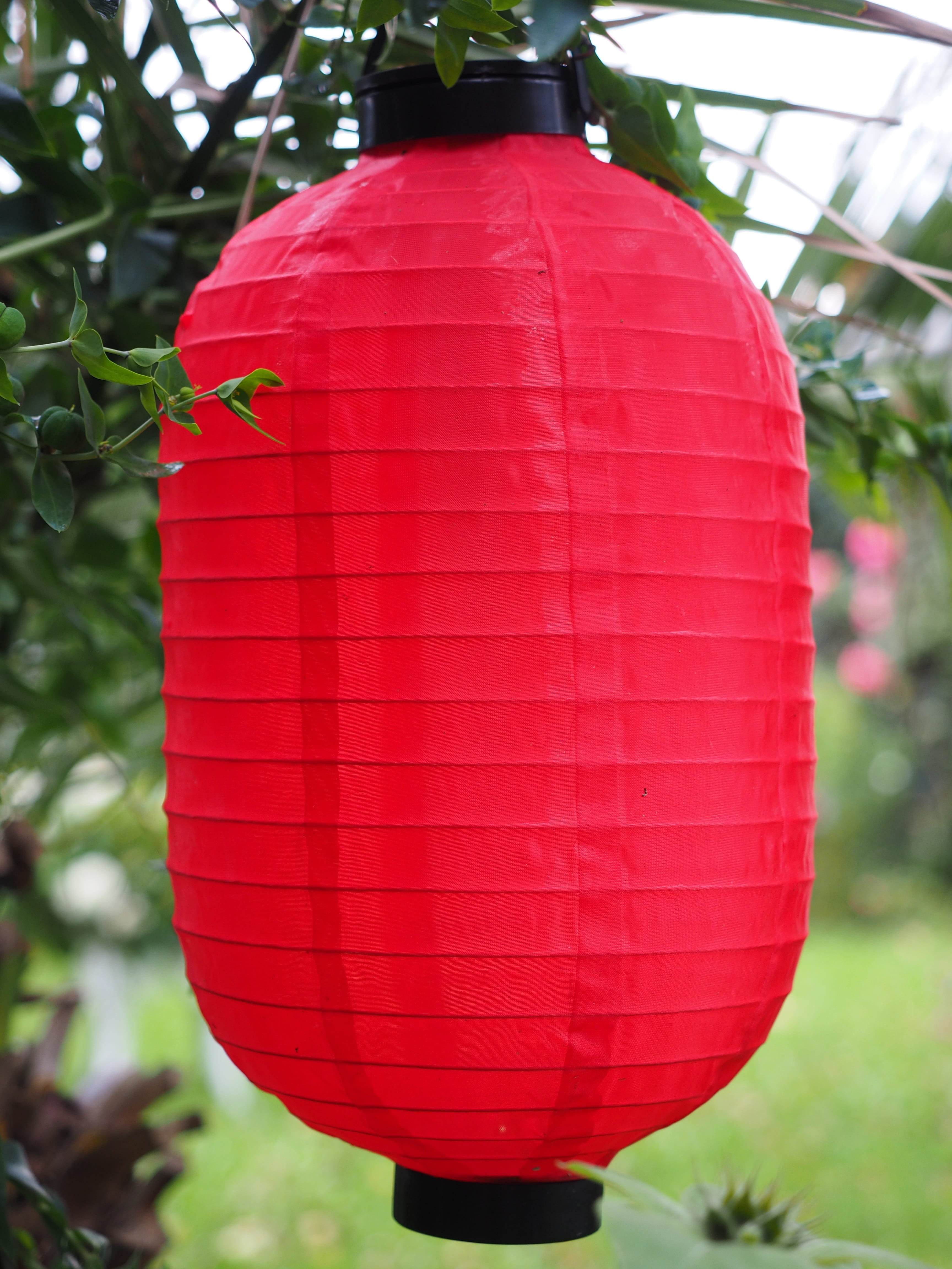 chinese lantern, plant, focus on foreground, food and drink, gartendeko, bulbs, light body, shining, lighting equipment, celebration, close-up, garden, Phone HD Wallpaper