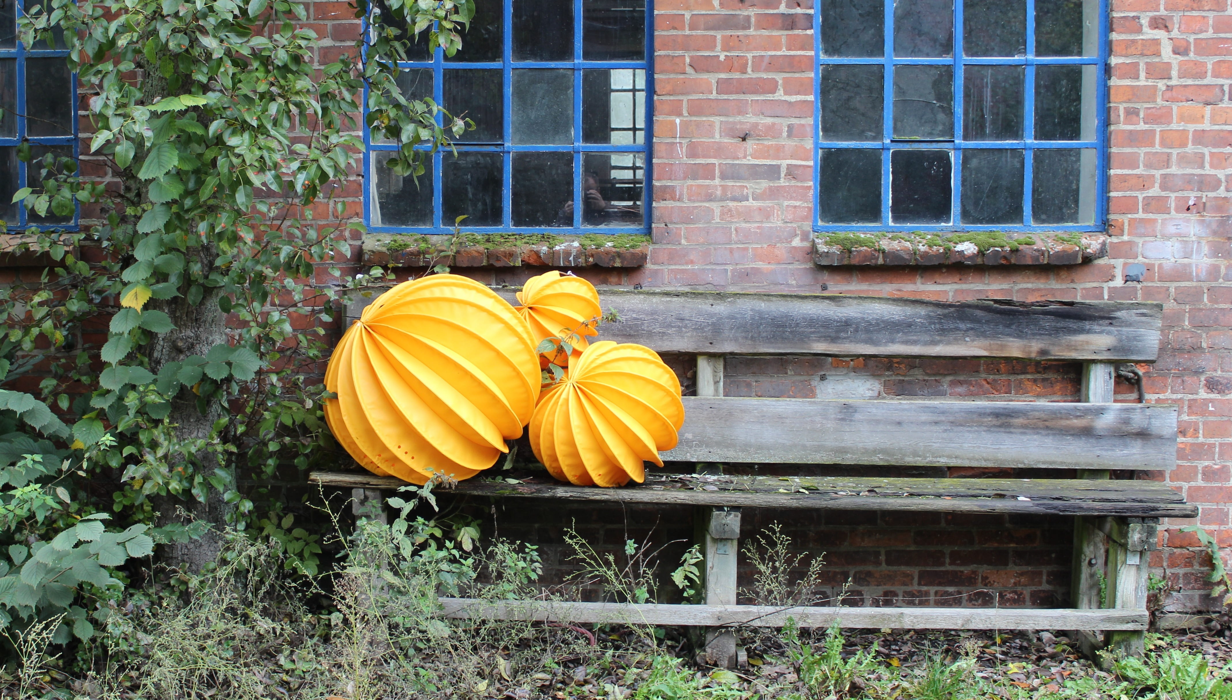 building exterior, house, summer lighting, garden decoration, orange, pumpkin, growth, decoration, brick, built structure, brick wall, seat, window, no people, HD Wallpaper