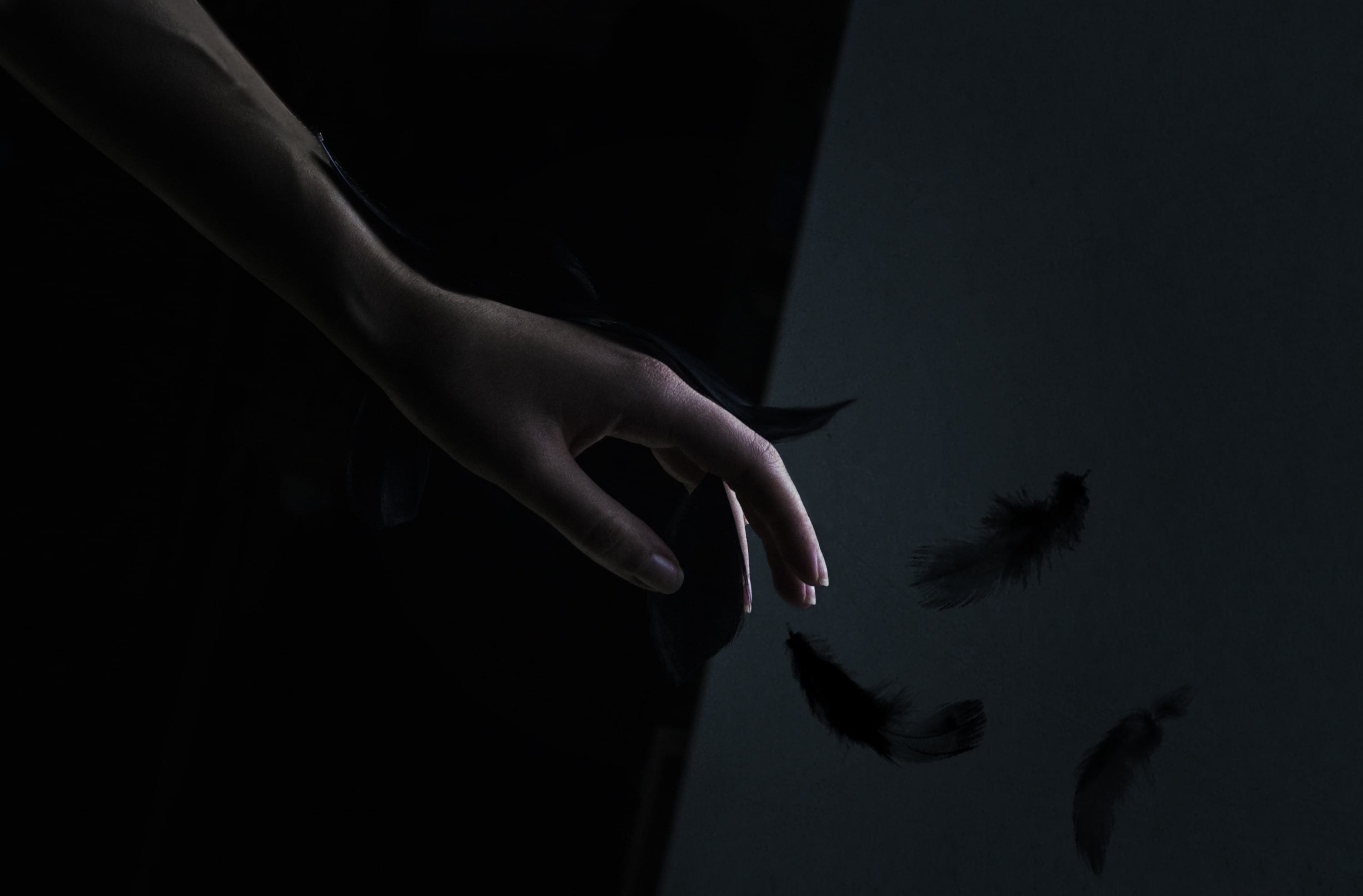holding, night, Feathers, silhouette, unrecognizable person, conceptual, go, let, women, adult, one person, body part, human hand, 2K, human finger, indoors, HD Wallpaper