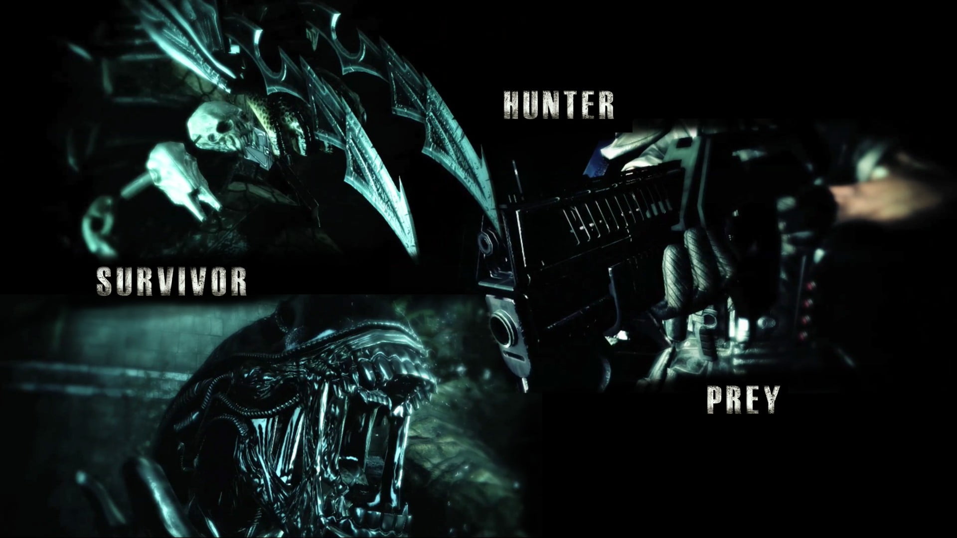 movies, transparent, transportation, 1080P, text, night, Predator (movie), human representation, number, representation, arts culture and entertainment, HD Wallpaper