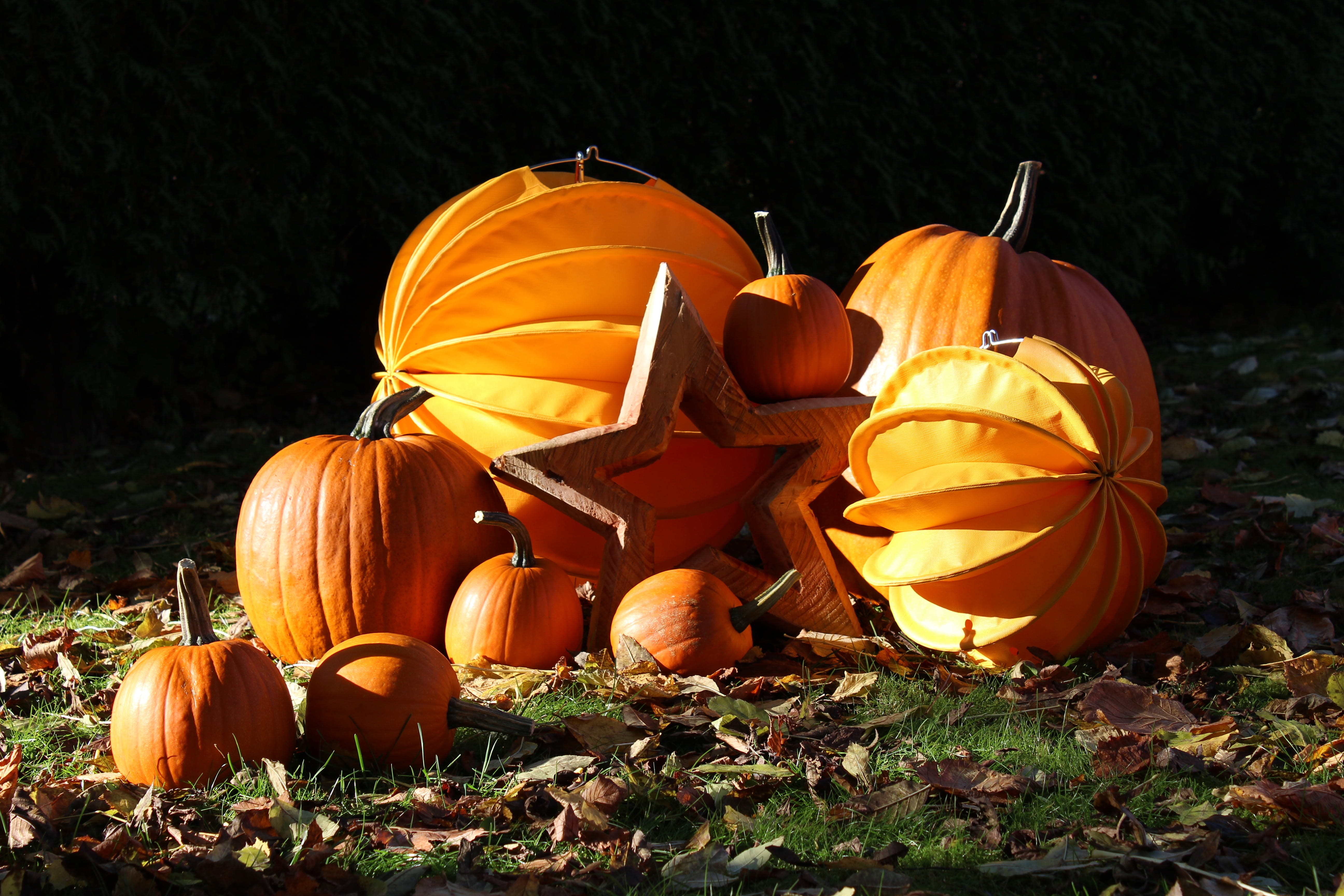 autumn decoration, healthy eating, outdoors, orange, autumn sun, garden decoration, halloween, food, land, garden, pumpkins, Lampion, vegetable, food and drink, HD Wallpaper