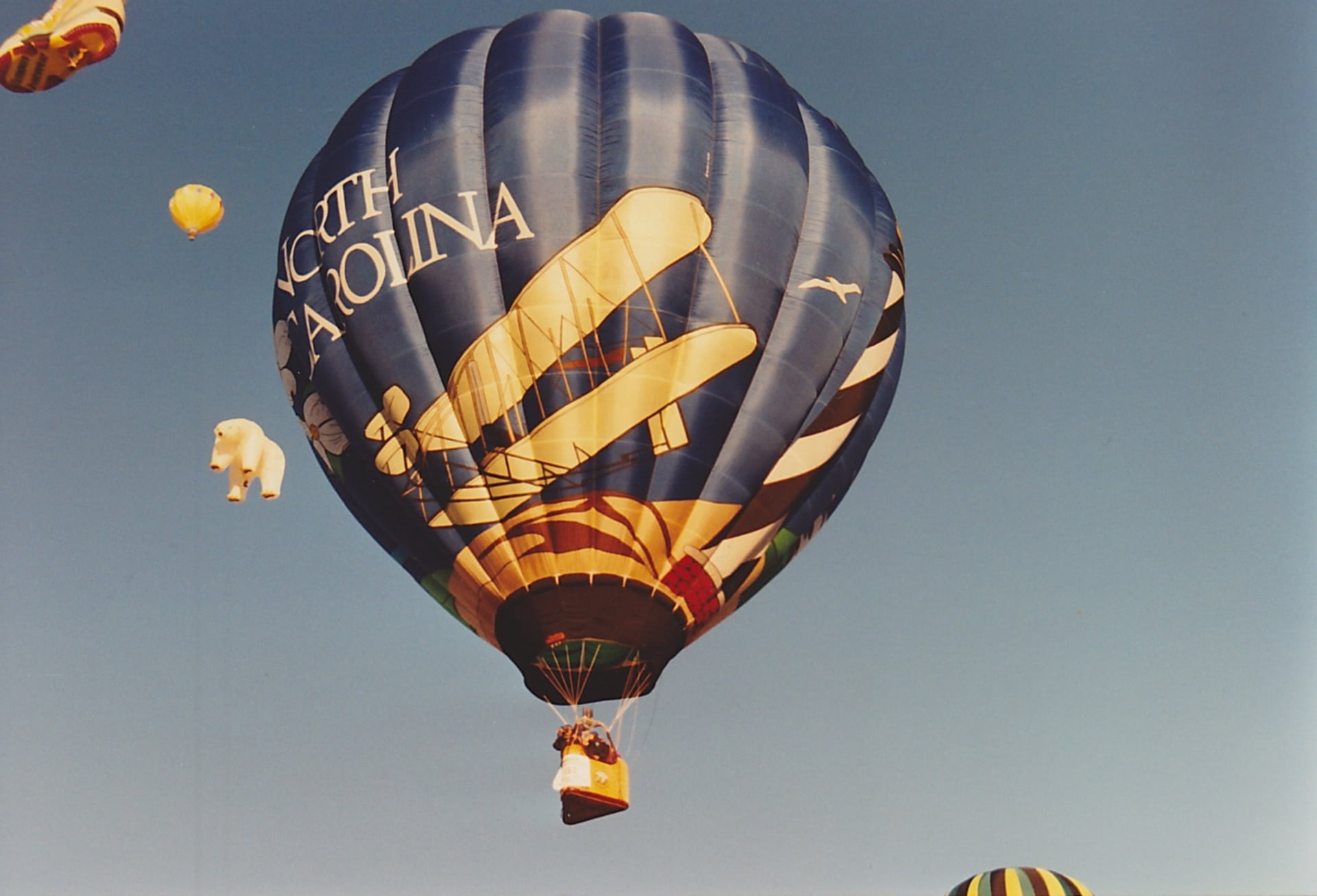 colorful, north carolina, sport, albuquerque, nature, sunlight, sky, multi Colored, travel, hot Air Balloon, blue, air, air Vehicle, transportation, parachute, HD Wallpaper