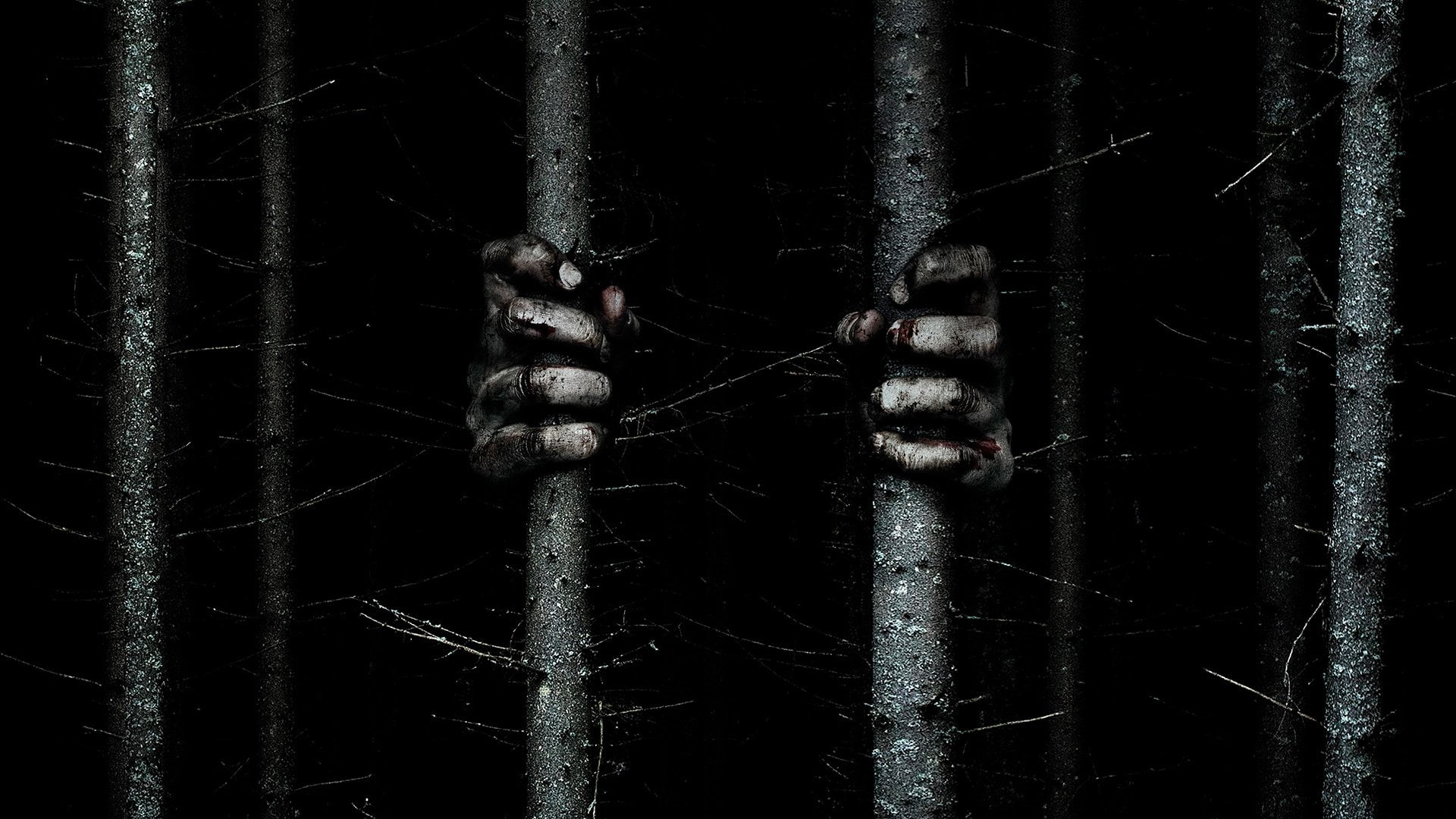 Movie, 1080P, Blair Witch, HD Wallpaper
