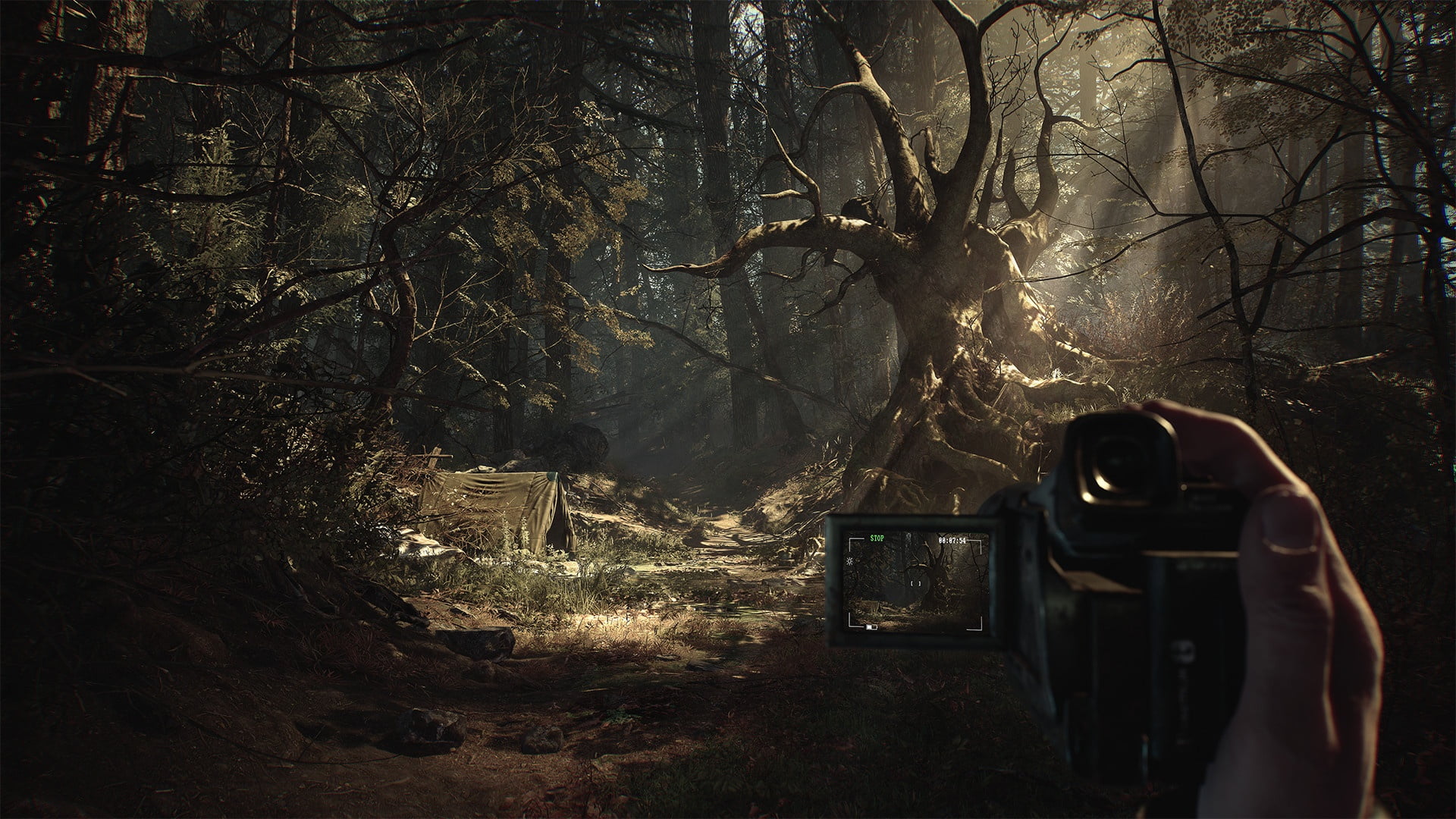 Blair witch, 1080P, Horror, Game, Bloober Team, HD Wallpaper