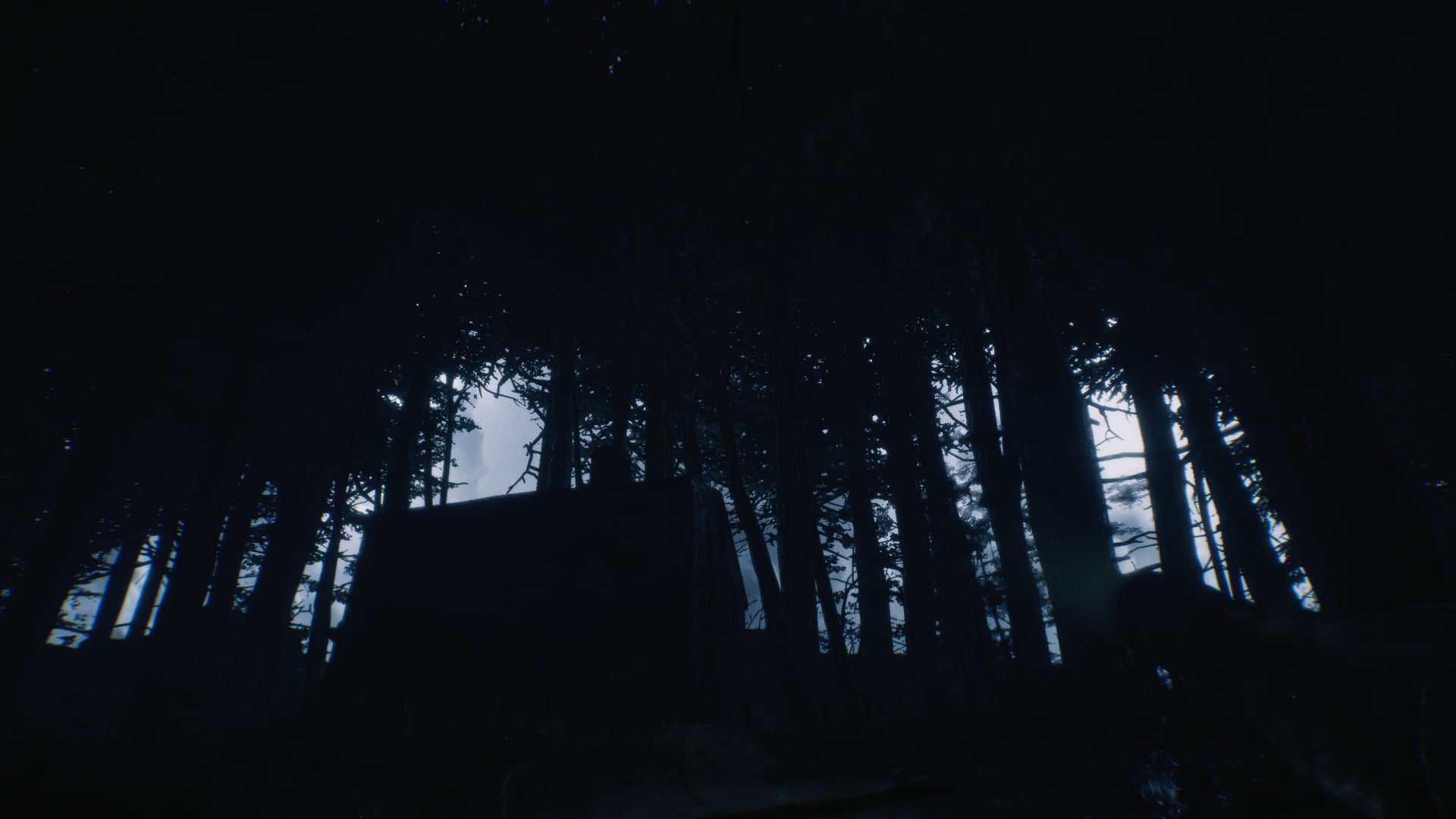 Games posters, Blair Witch, Video Game Horror, 1080P, video games, HD Wallpaper