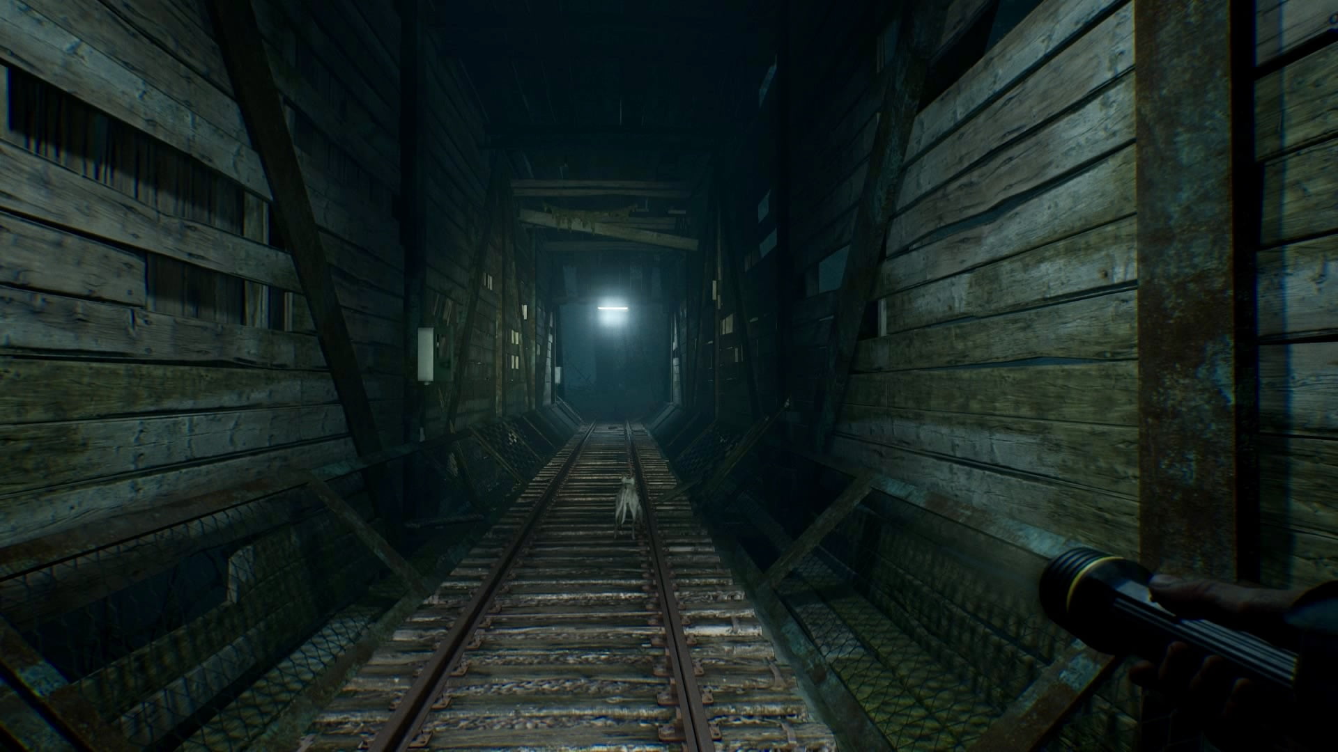 1080P, video games, PlayStation 4, Blair Witch, HD Wallpaper