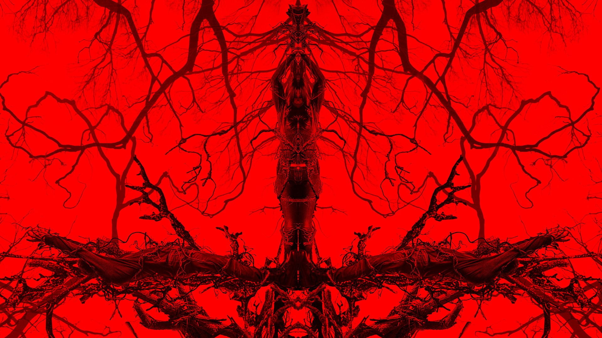 Blair Witch, 1080P, Movie, HD Wallpaper
