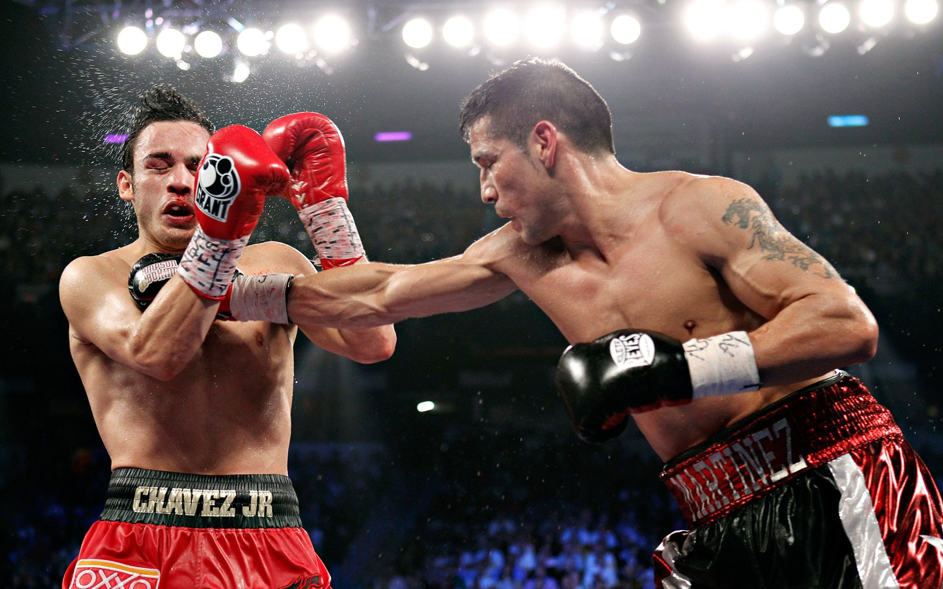 1080P, Sergio Martínez, Glove, Boxing, Boxer, Sports, Julio Cesar Chavez Sr, Sport, Punch, HD Wallpaper