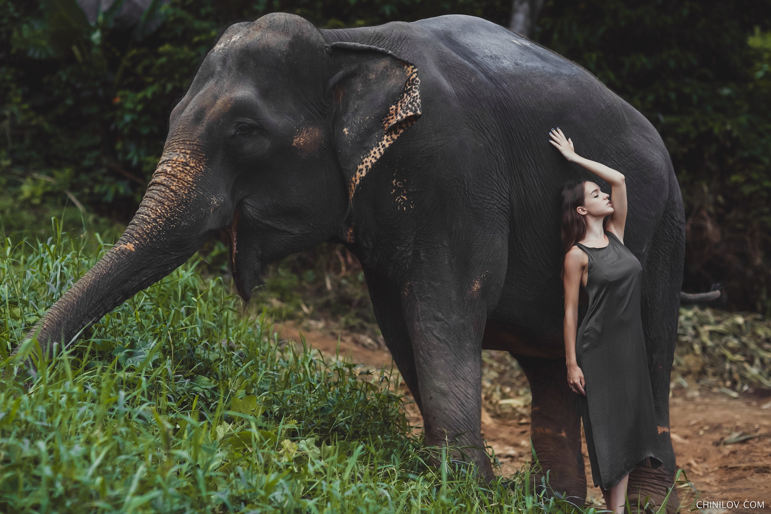 model, Ivan Chinilov, elephant, animals, women outdoors, women, 2K, HD Wallpaper