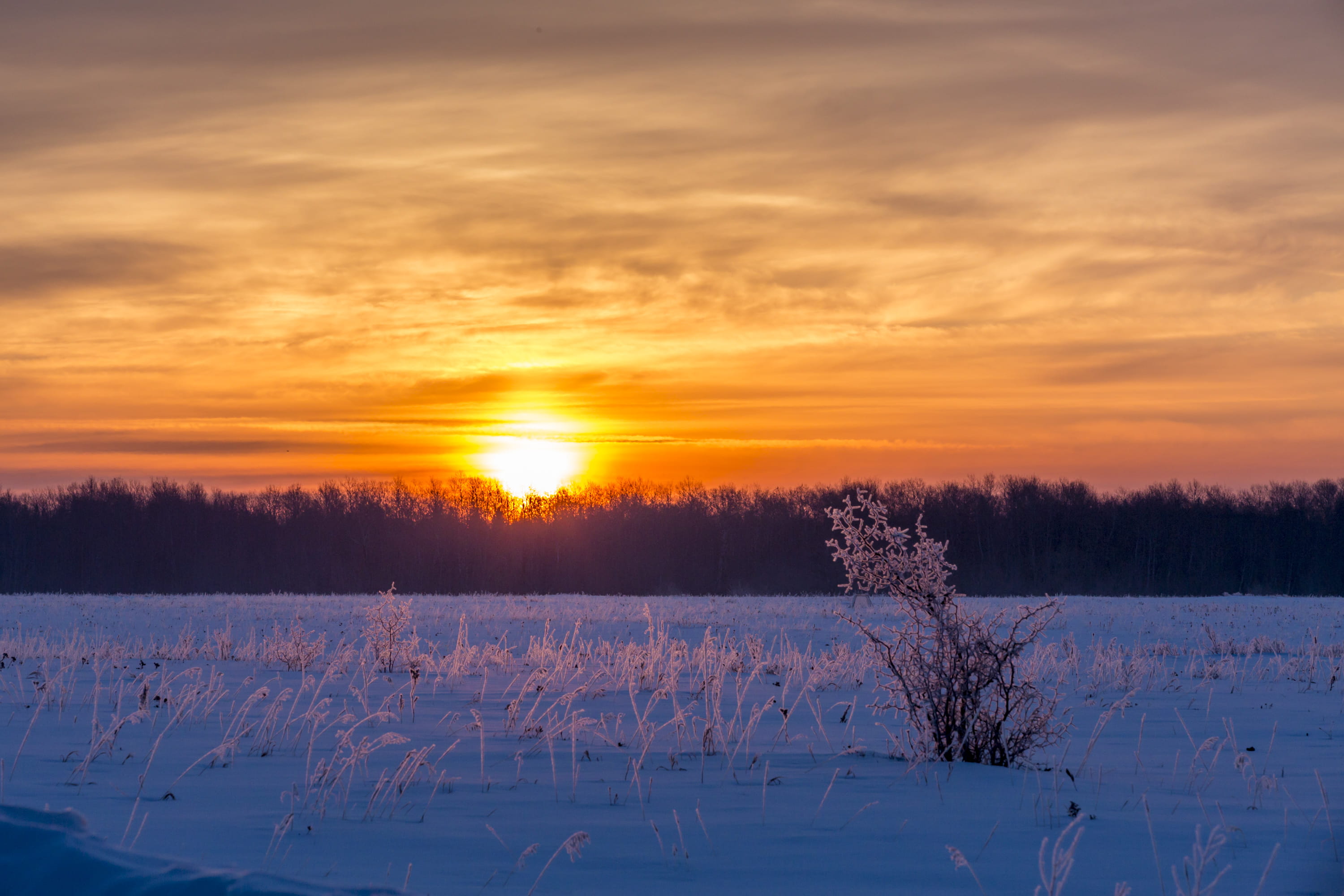 tranquil scene, cold temperature, morning, sunrise, beauty in nature, cloud - sky, no people, tranquility, 2K, canada, frost, lake audy, manitoba, snow, HD Wallpaper