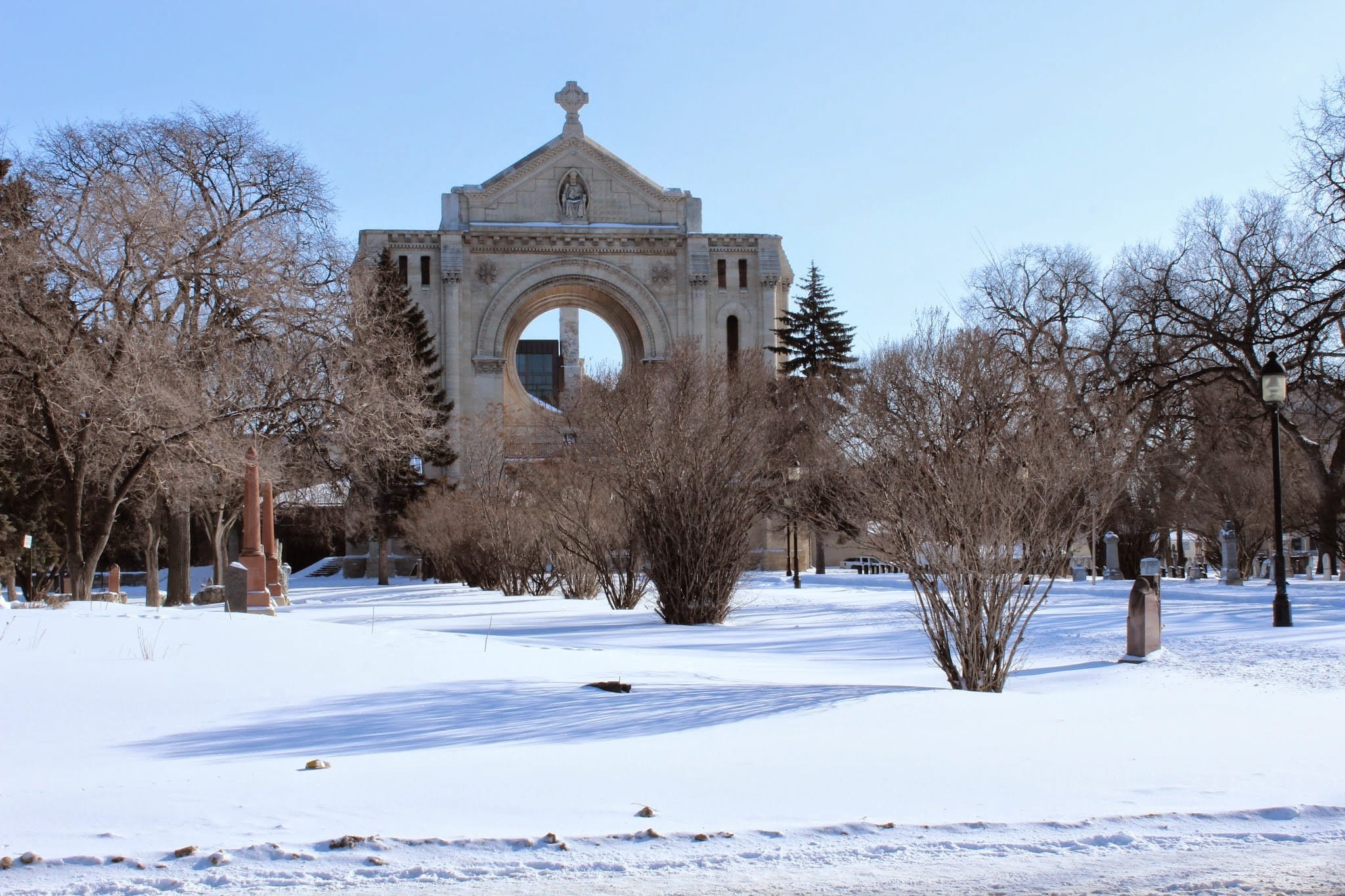 tree, winnipeg, bare tree, christianity, clear sky, frozen, canada, day, outdoors, no people, white color, church, cathedral, sky, built structure, plant, HD Wallpaper