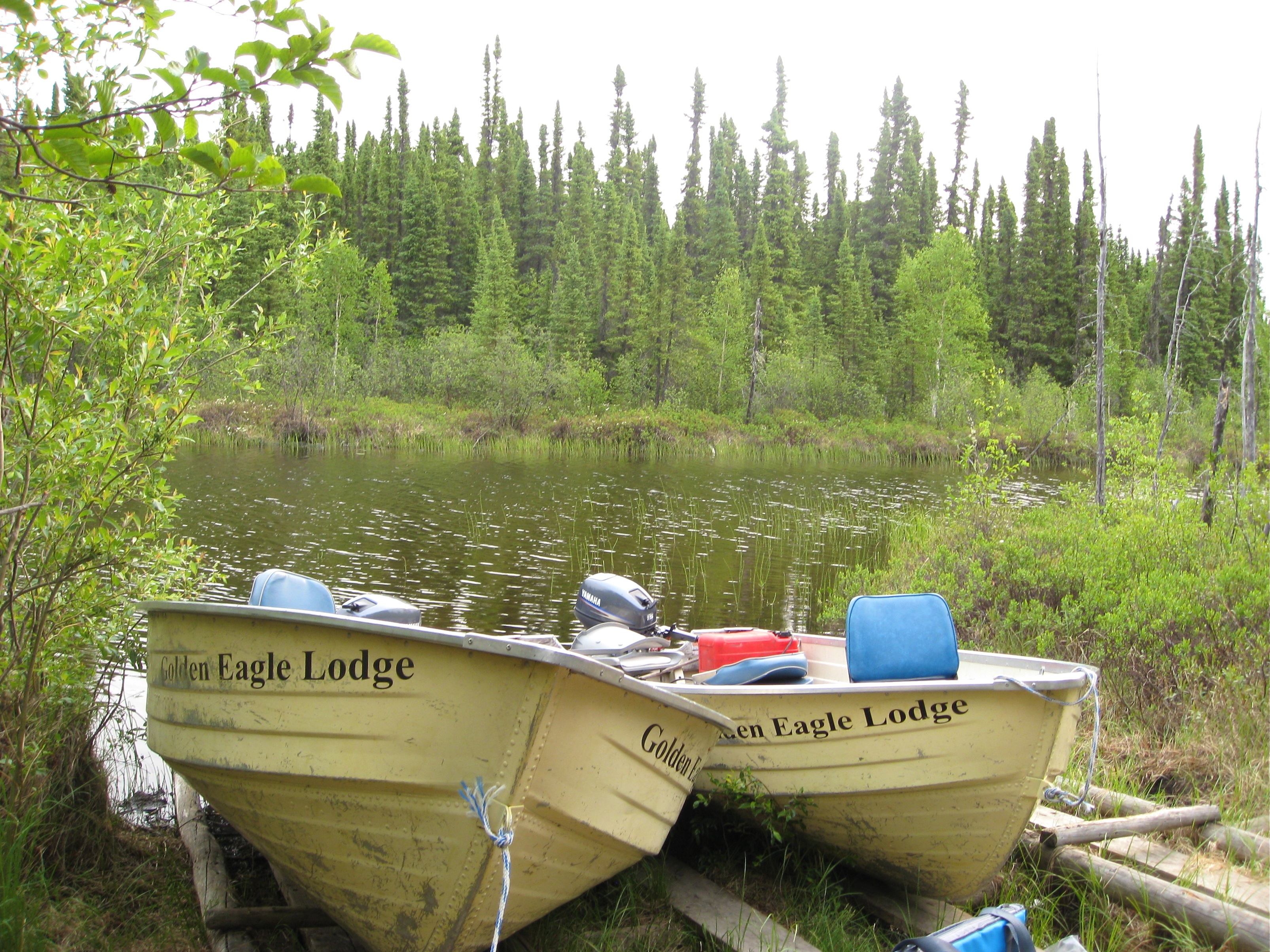 outdoor, fishing, water, fishing boats, manitoba, no people, growth, tranquility, day, inflatable, land, 2K, green color, wilderness, mode of transportation, HD Wallpaper
