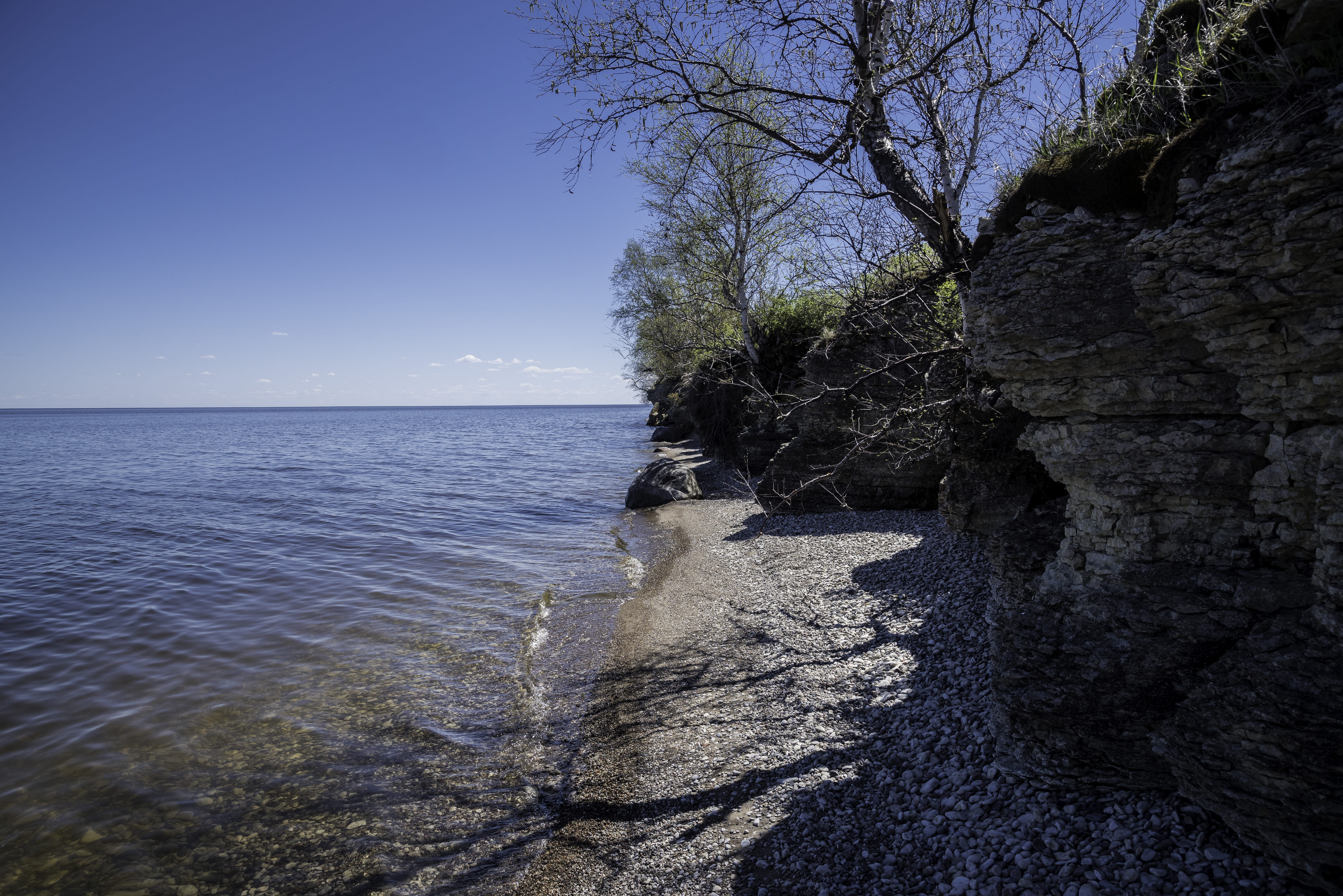 scenics, non-urban scene, canada, color Image, coastline, nature, cliffs, landscapes, beach, horizon over water, outdoors, rock - Object, 5K, plant, tree, HD Wallpaper