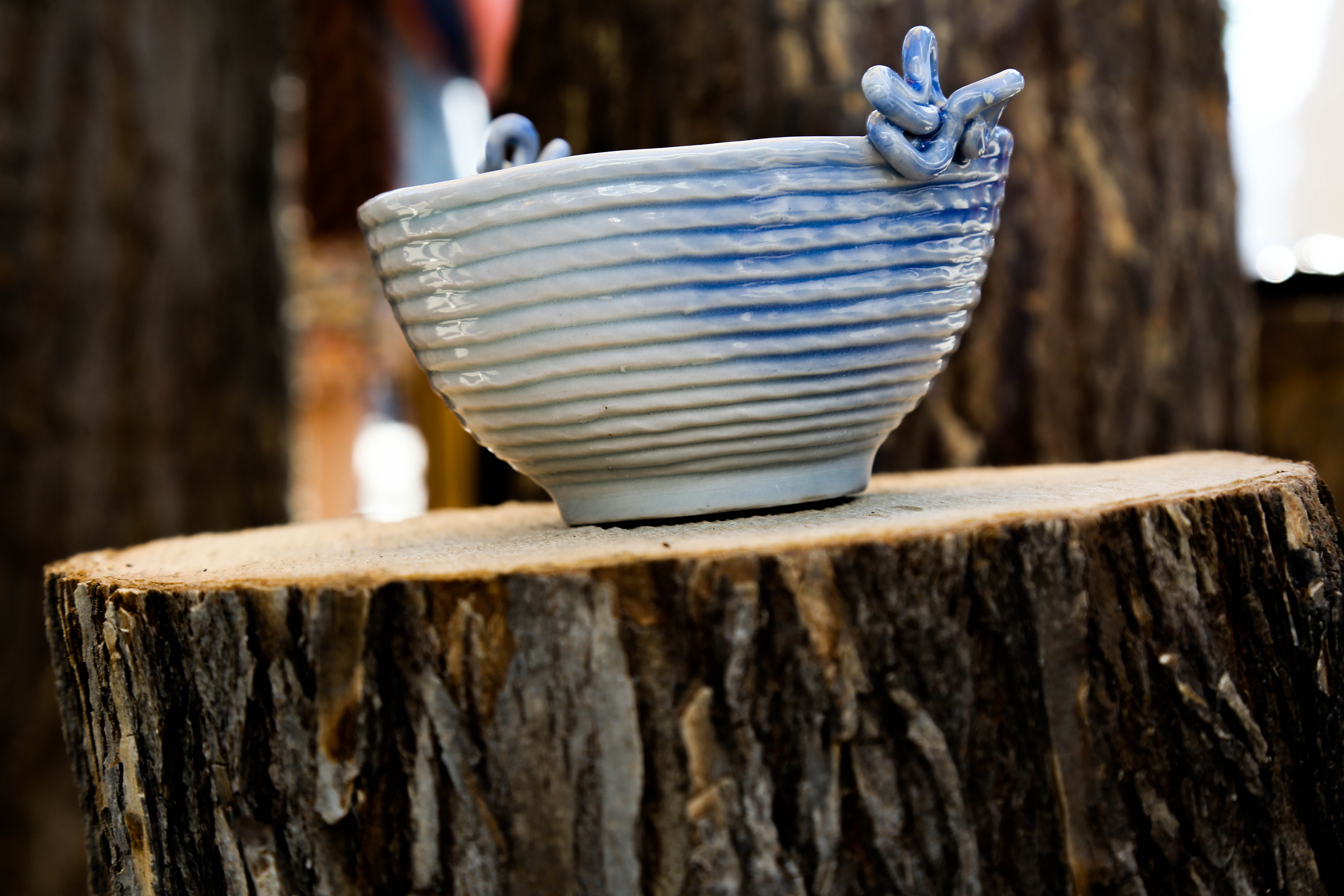 close-up, saskatoon, still life, artifact, wood - material, no people, bark, saskatoon farmers market, shape, textured, 5K, log, selective focus, nature, HD Wallpaper