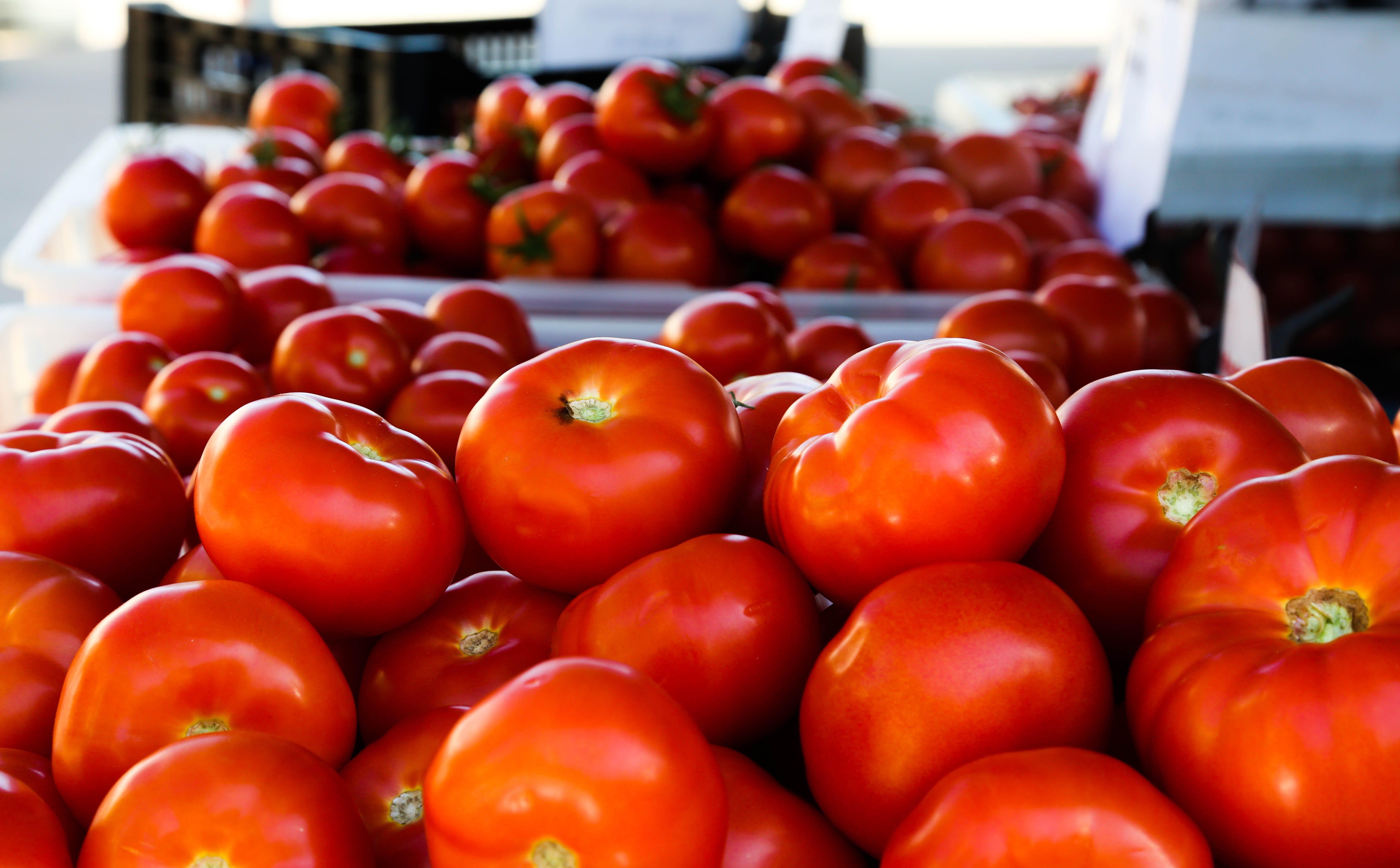 market stall, healthy eating, canada, sale, retail display, abundance, large group of objects, food, ripe, retail, market, close-up, vegetarian food, red, HD Wallpaper