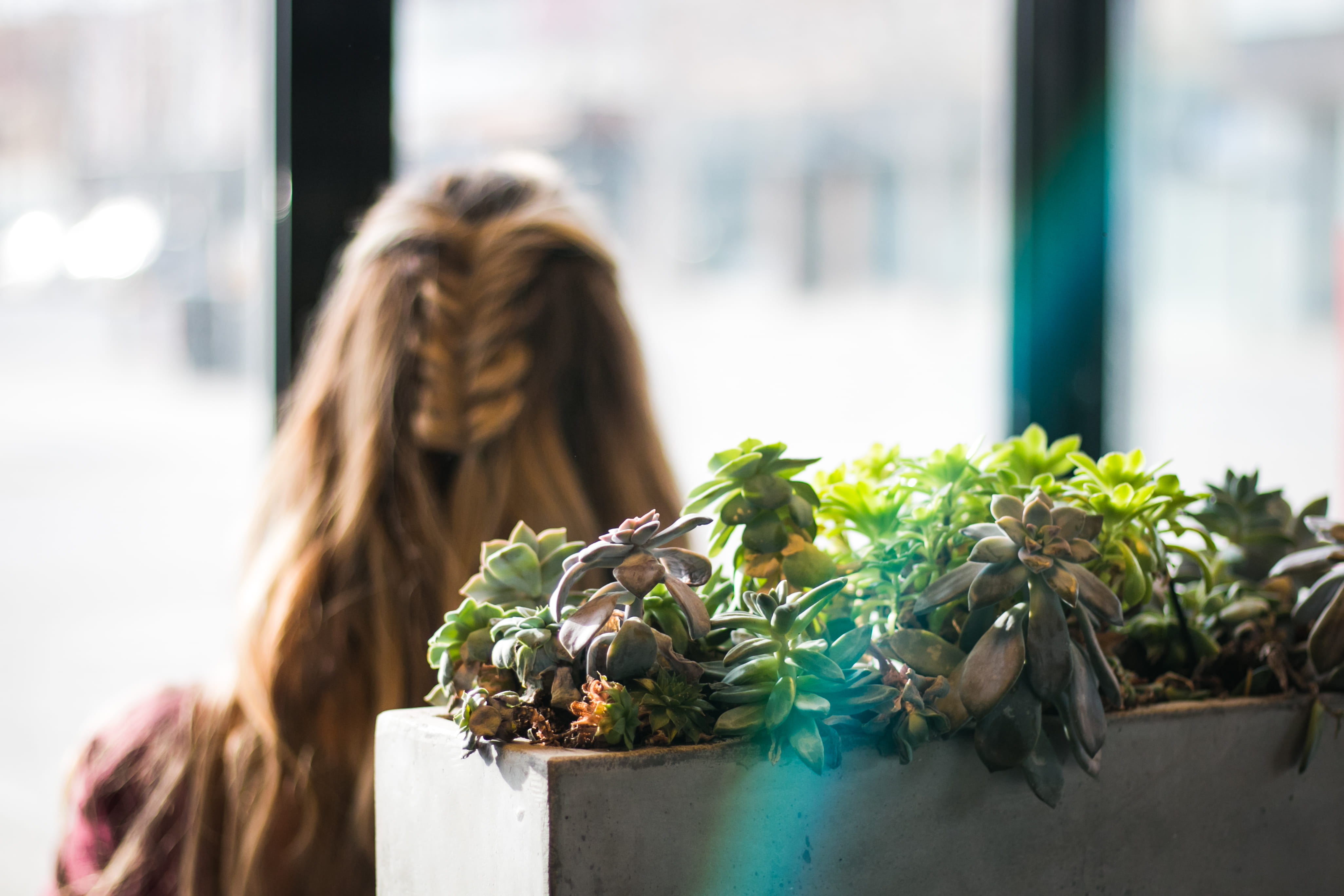 4K, one person, casual clothing, nature, gardening, canada, young women, day, girl, plants, vibrant, hair, hairstyle, succulents, shop, planter, rear view, HD Wallpaper