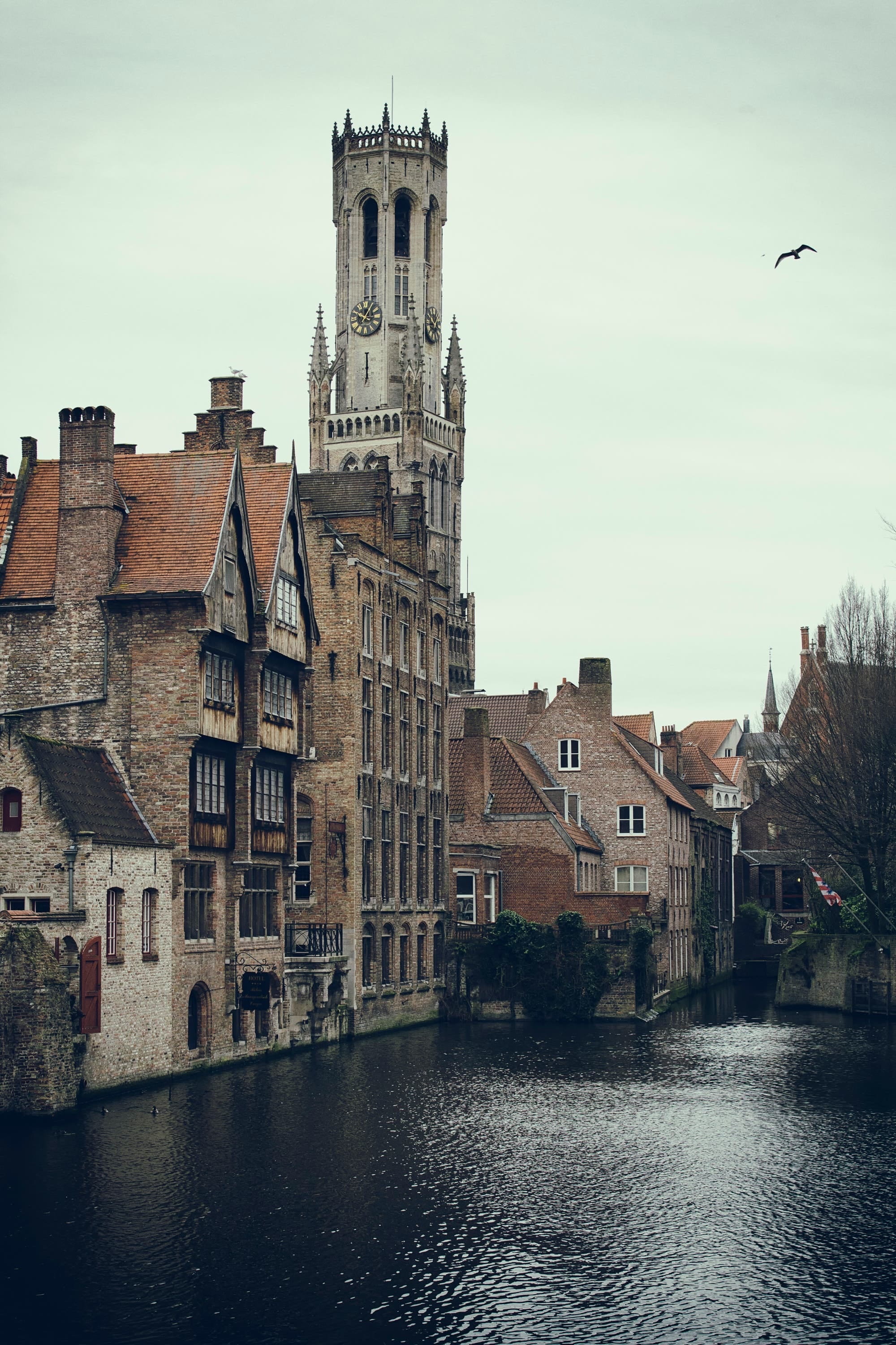 religion, nature, belfry tower, town, Bruges, city, high, river, architecture, residential district, built structure, building, travel destinations, water, Phone HD Wallpaper