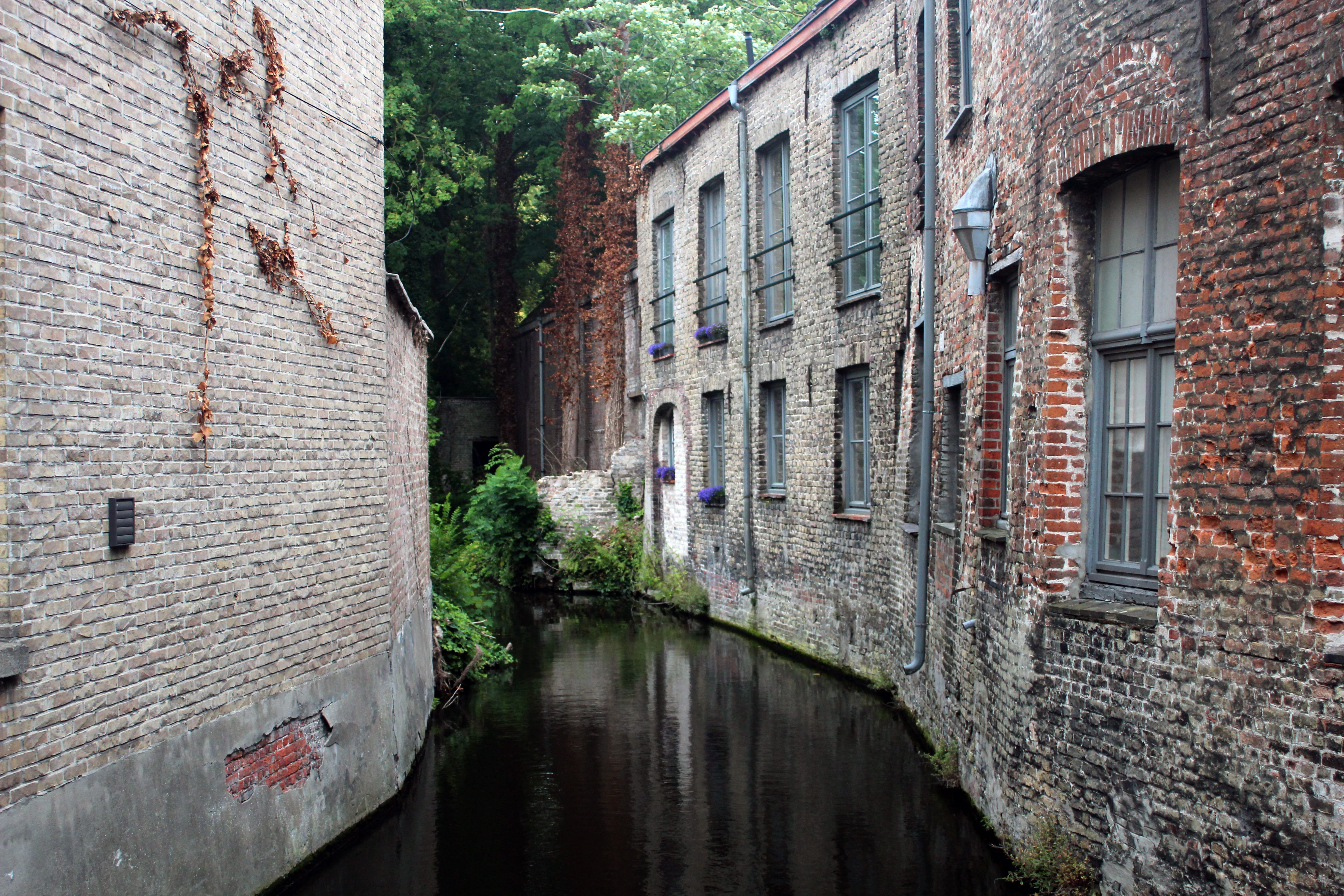 bruges, masonry, medieval city, window, canals, waterway, architecture, belgium, outdoors, residential district, old town, water, 5K, alley, romantic, HD Wallpaper