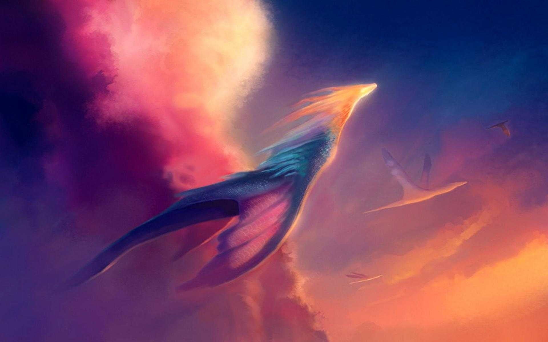 surreal, no people, bird, multi colored, animal wildlife, nature, aggression, animal themes, mid-air, animals in the wild, marine, animal body part, motion, HD Wallpaper