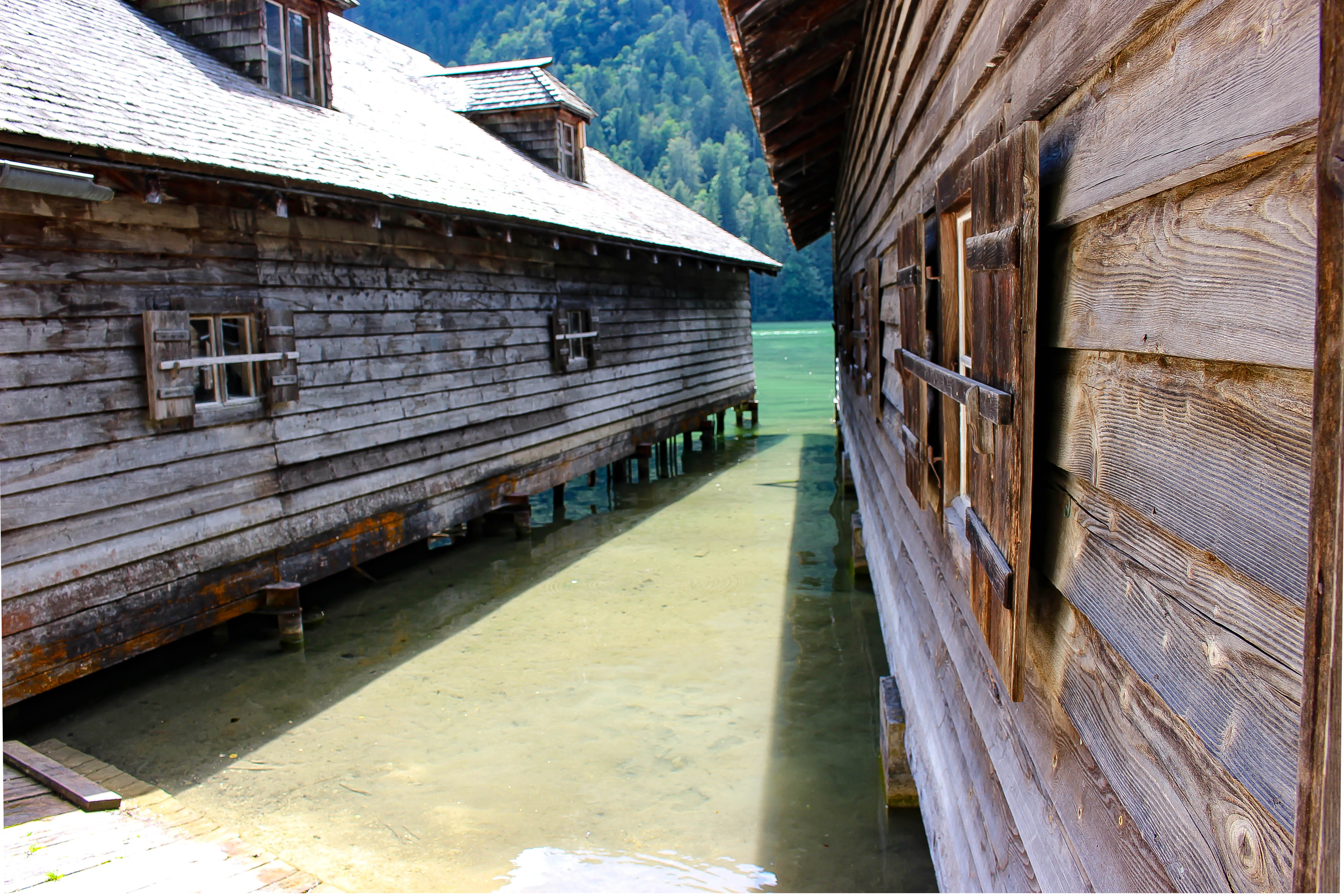 residential district, water, architecture, lake, built structure, trees, germany, nature, building exterior, sunlight, alley, window, schönau am königssee, HD Wallpaper
