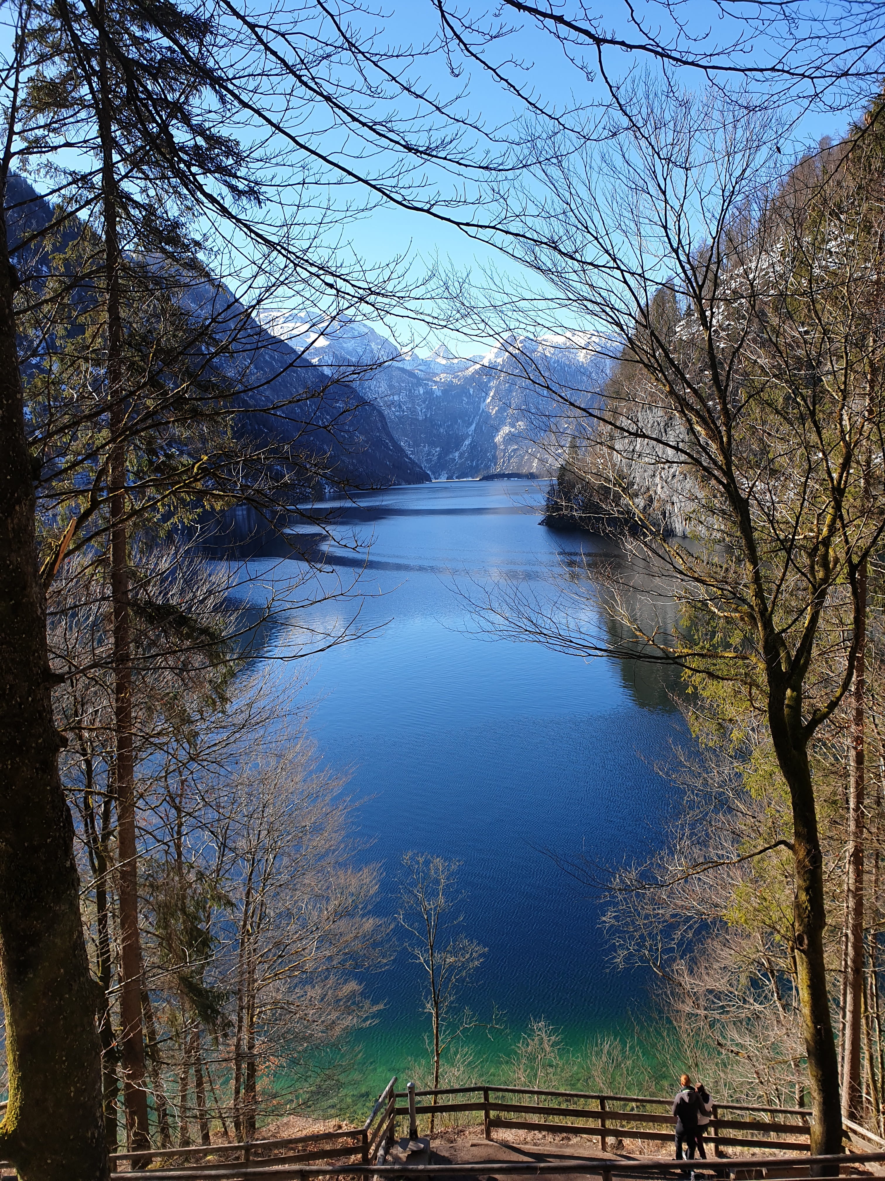 berchtesgadener land, no people, growth, bavaria, day, schönau, berchtesgaden, mountain, tranquility, upper bavaria, national park, lake, scenics - nature, Phone HD Wallpaper