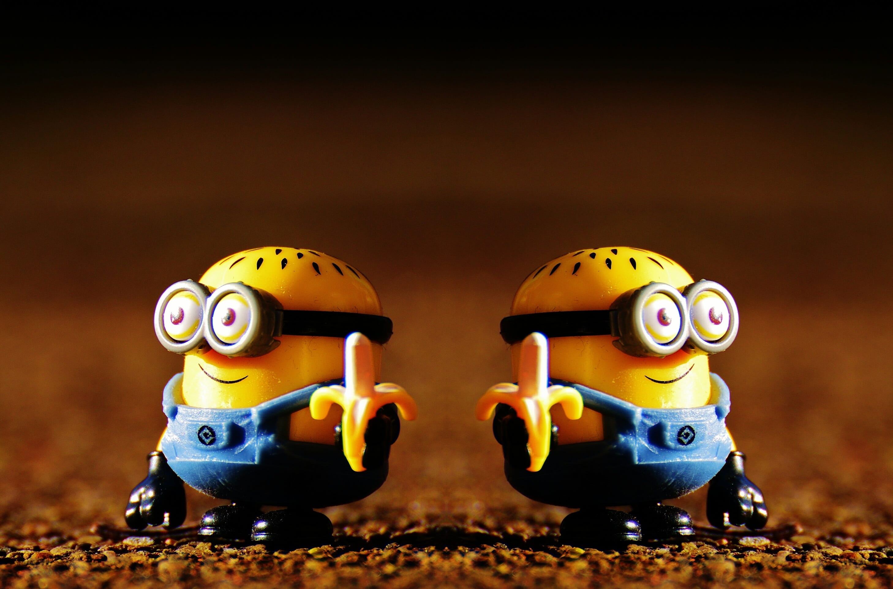 animal representation, close-up, day, alien, Double, futuristic, funny, animal themes, indoors, robot, figurine, sport, no people, focus on foreground, HD Wallpaper
