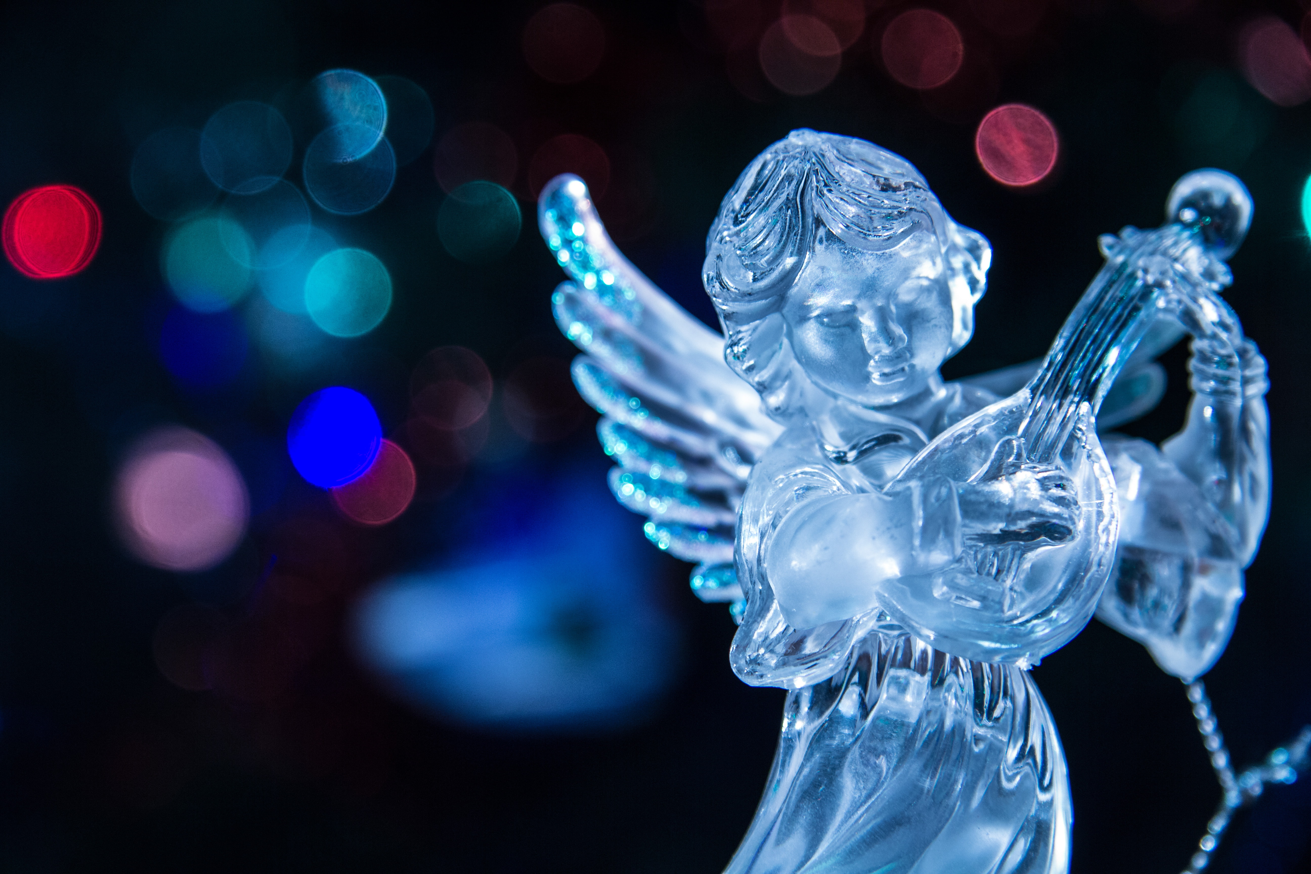 city, focus on foreground, vertebrate, figurine, animal wildlife, animals in the wild, angel, 5K, playing, close-up, animal themes, transparent, reflection, HD Wallpaper