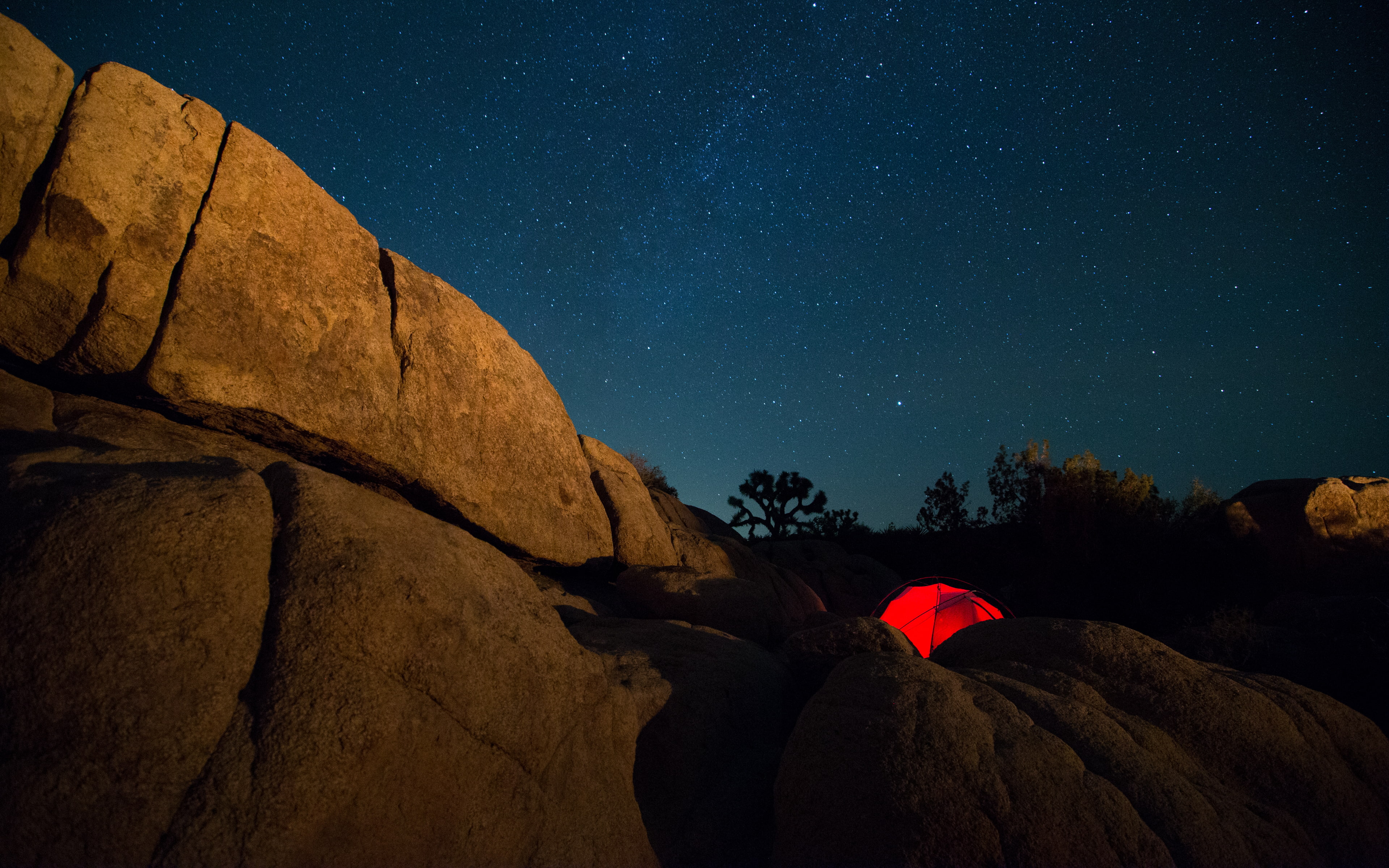 astronomy, space, star, california, joshua, tree, outdoors, photography, night, constellation, galaxy, darkblue, themilkyway, joshuatreenationalpark, brown, HD Wallpaper