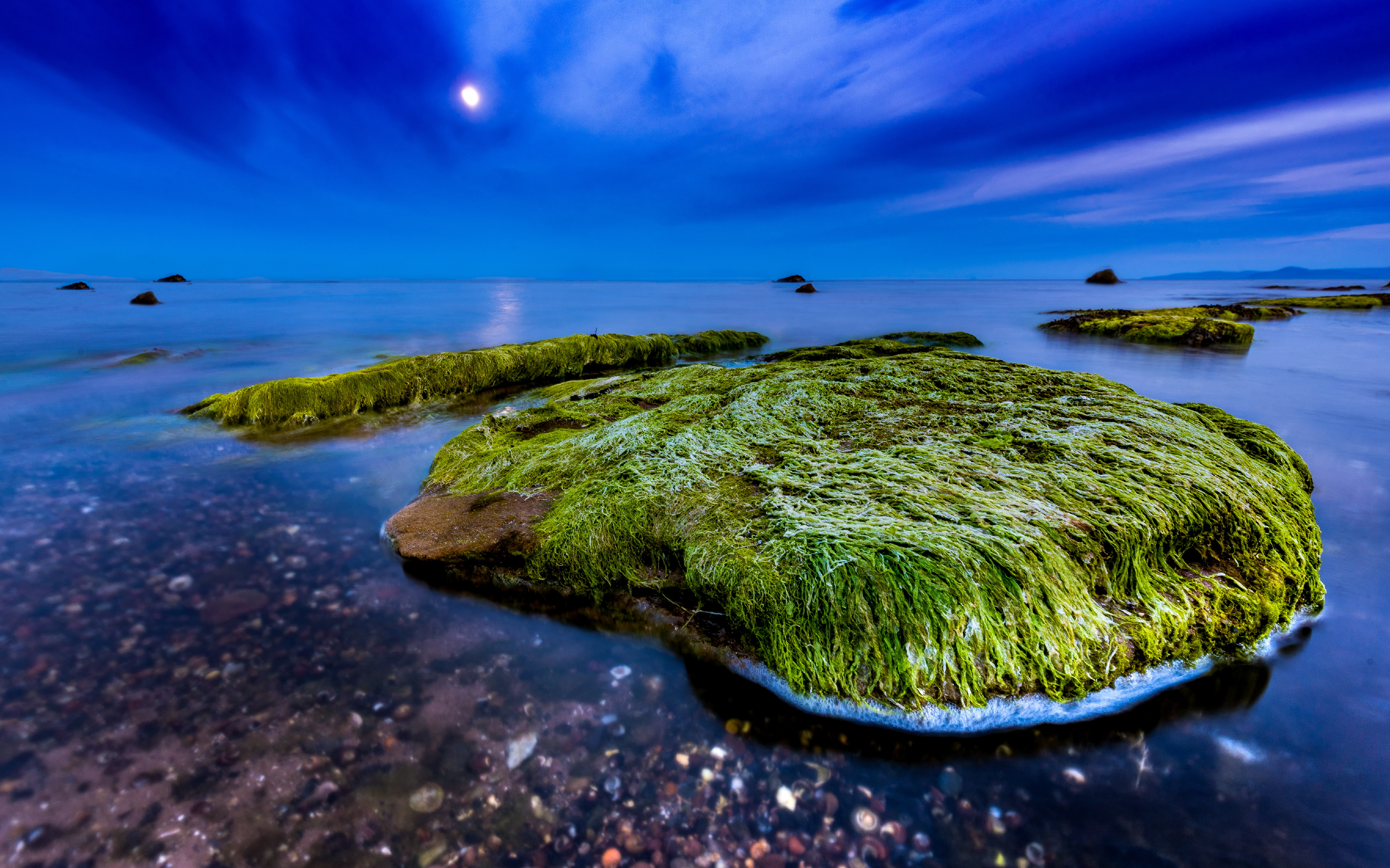 sea, plant, ocean, beauty in nature, scenics - nature, land, horizon, scottish, horizon over water, seascape, photography, water, darkblue, tranquil scene, HD Wallpaper