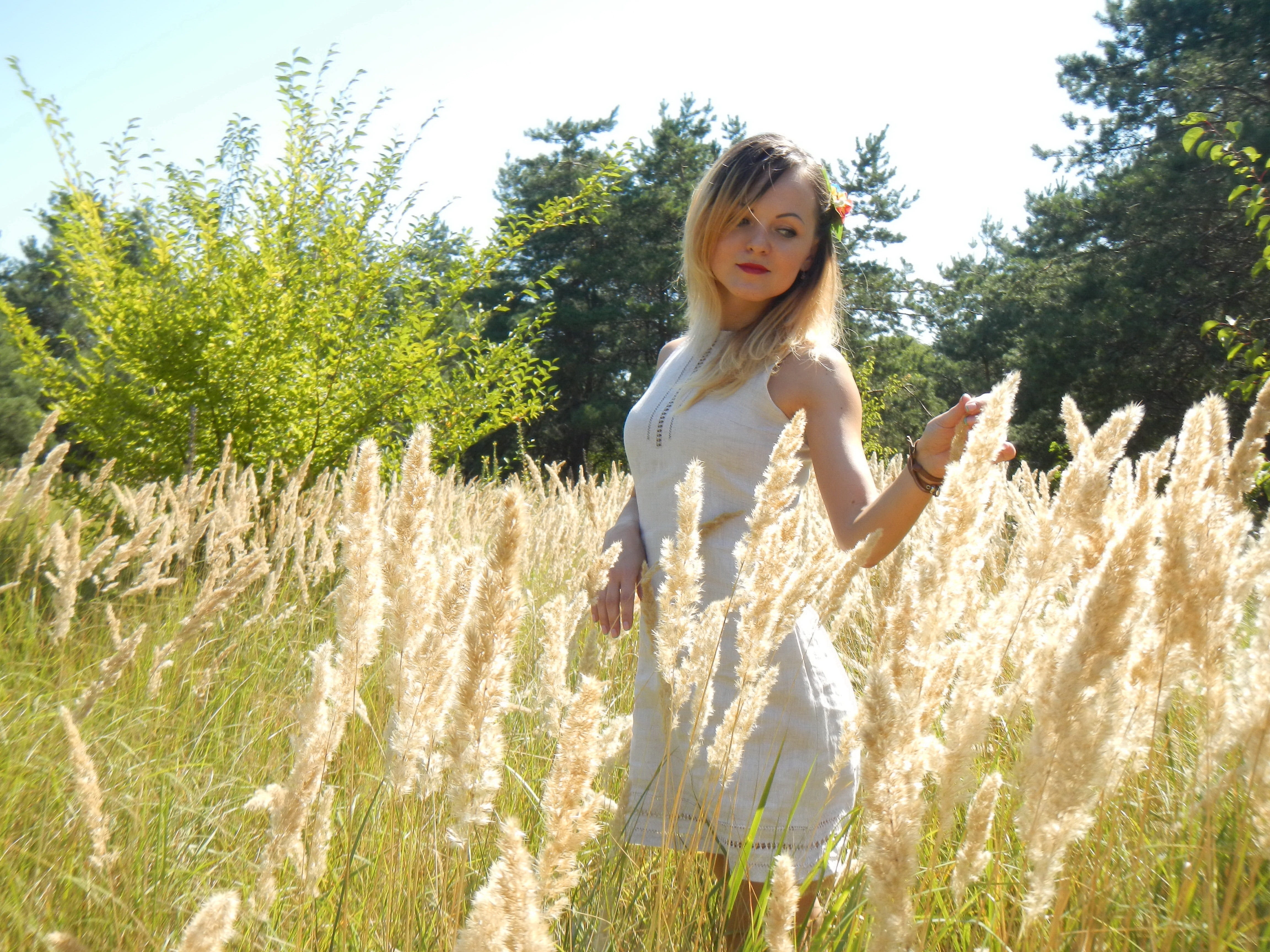 tree, summer, girls, field, looking at camera, nature, beautiful woman, real people, portrait, birthplace, young adult, growth, land, living nature, fashion, HD Wallpaper