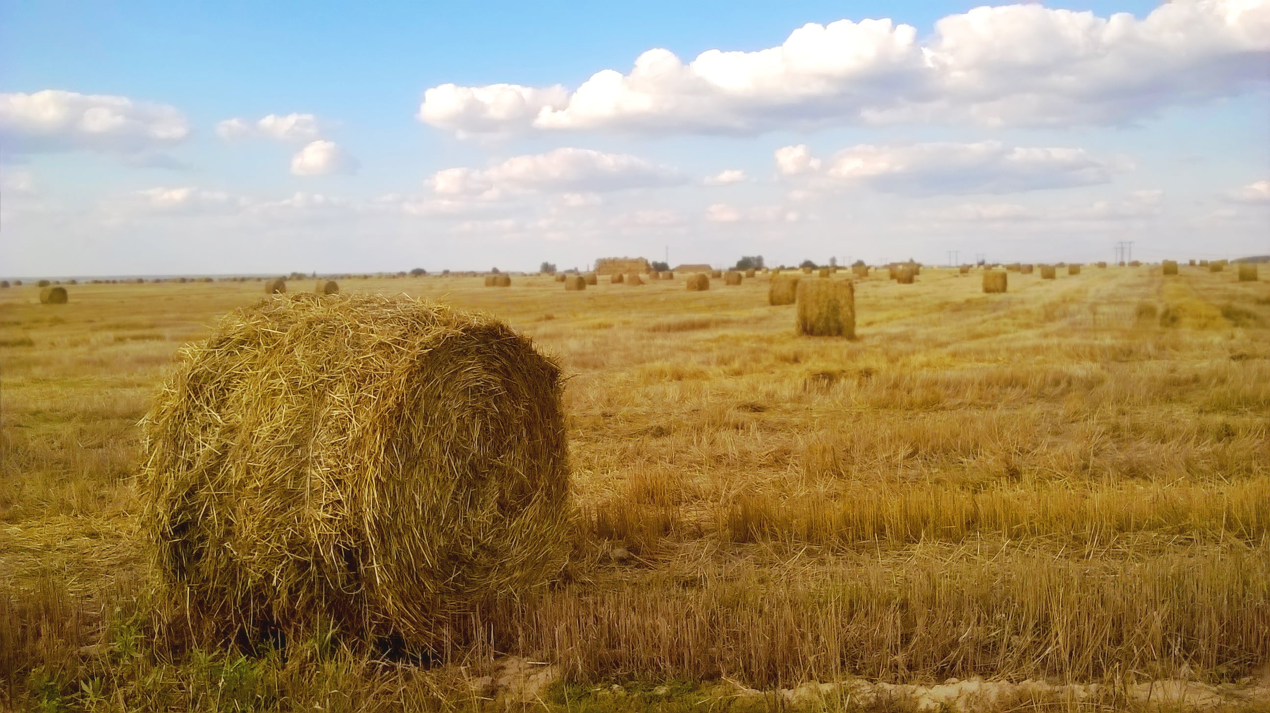 beauty in nature, harvesting, no people, haystack, field, meadow, grass, summer, cloud - sky, land, environment, scenics - nature, texture, subsistence farming, HD Wallpaper