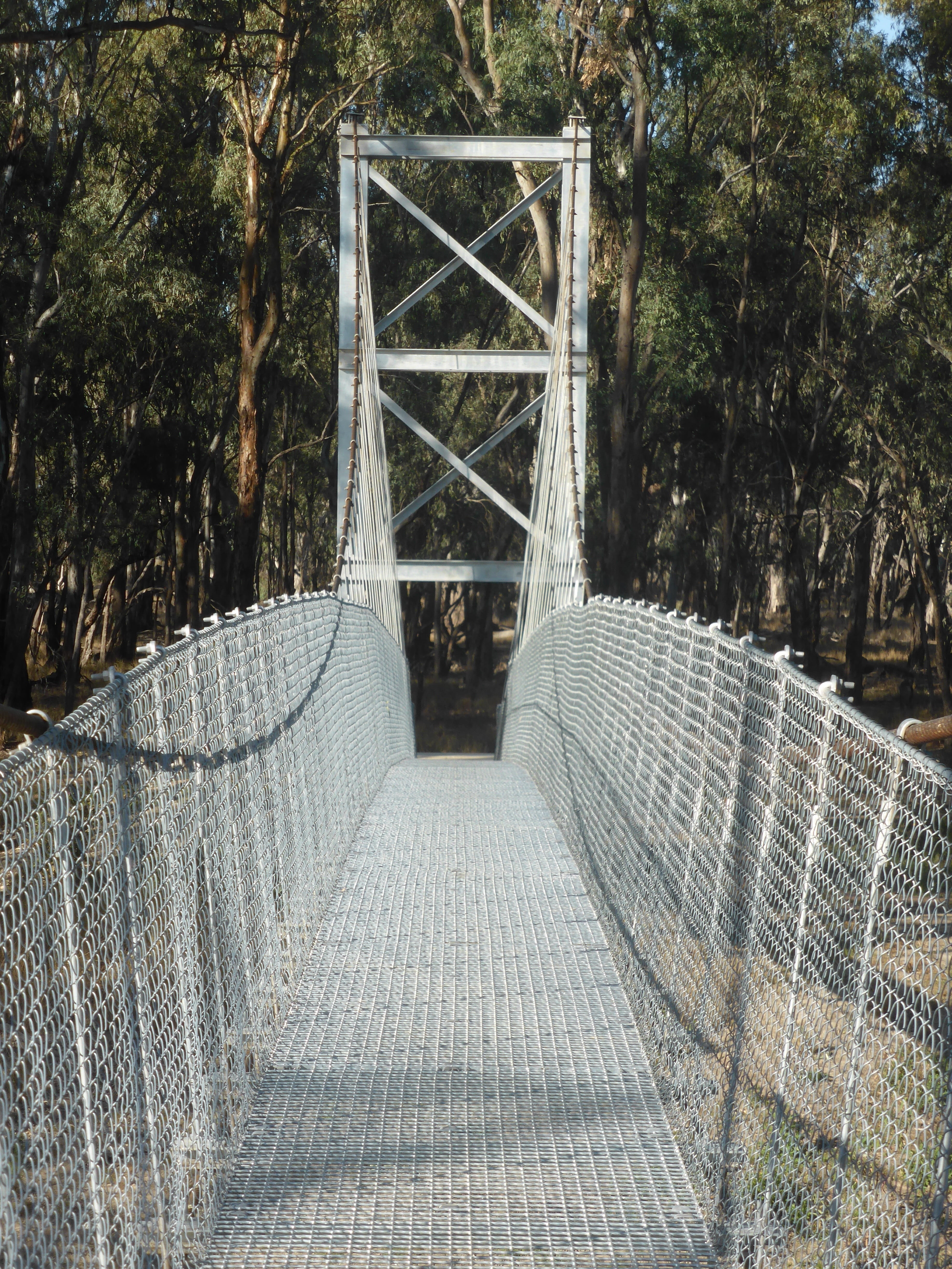 metal, nature, plant, steel, growth, forest, pedestrian bridge, cable, railing, architecture, the way forward, suspended, connection, transportation, suspension bridge, Phone HD Wallpaper