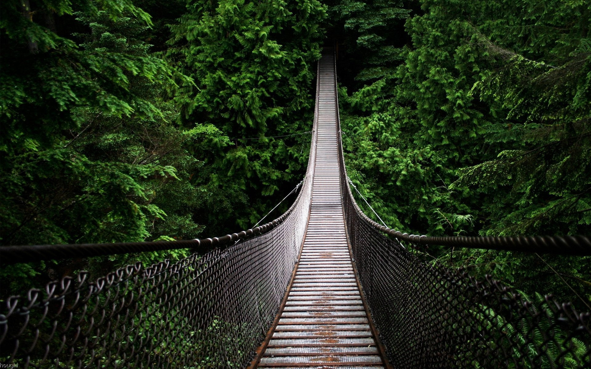 high, swinging, hd, bridges, cable, bridge, architecture, art, 1080P, tree tops, Swinging bridge, HD Wallpaper