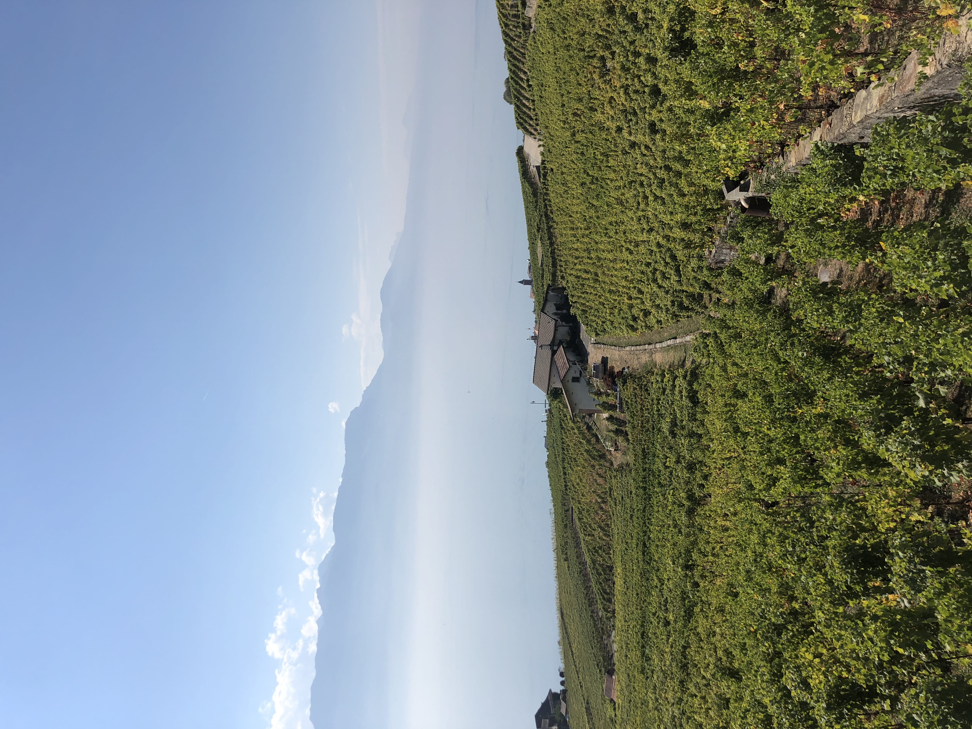 route de vevey 2, chexbres, nature, non-urban scene, no people, beauty in nature, tranquil scene, land, cloud - sky, landscape, green color, tranquility, HD Wallpaper