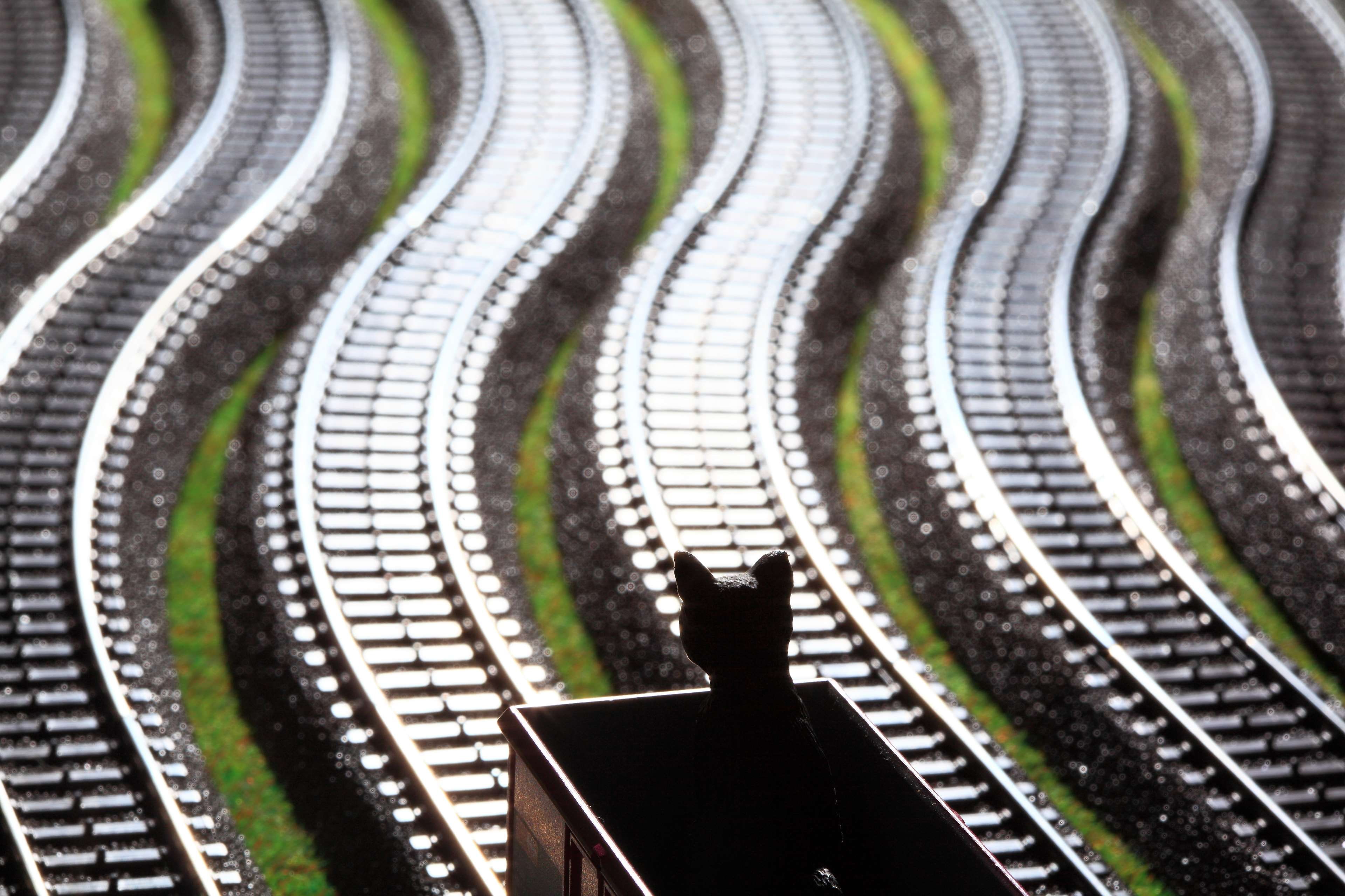no people, curve, bye, retail, lighting, sadness, model, toy cat, railway, green, full frame, scale, bye bye last week, consumerism, glossy, toy, side by side, HD Wallpaper