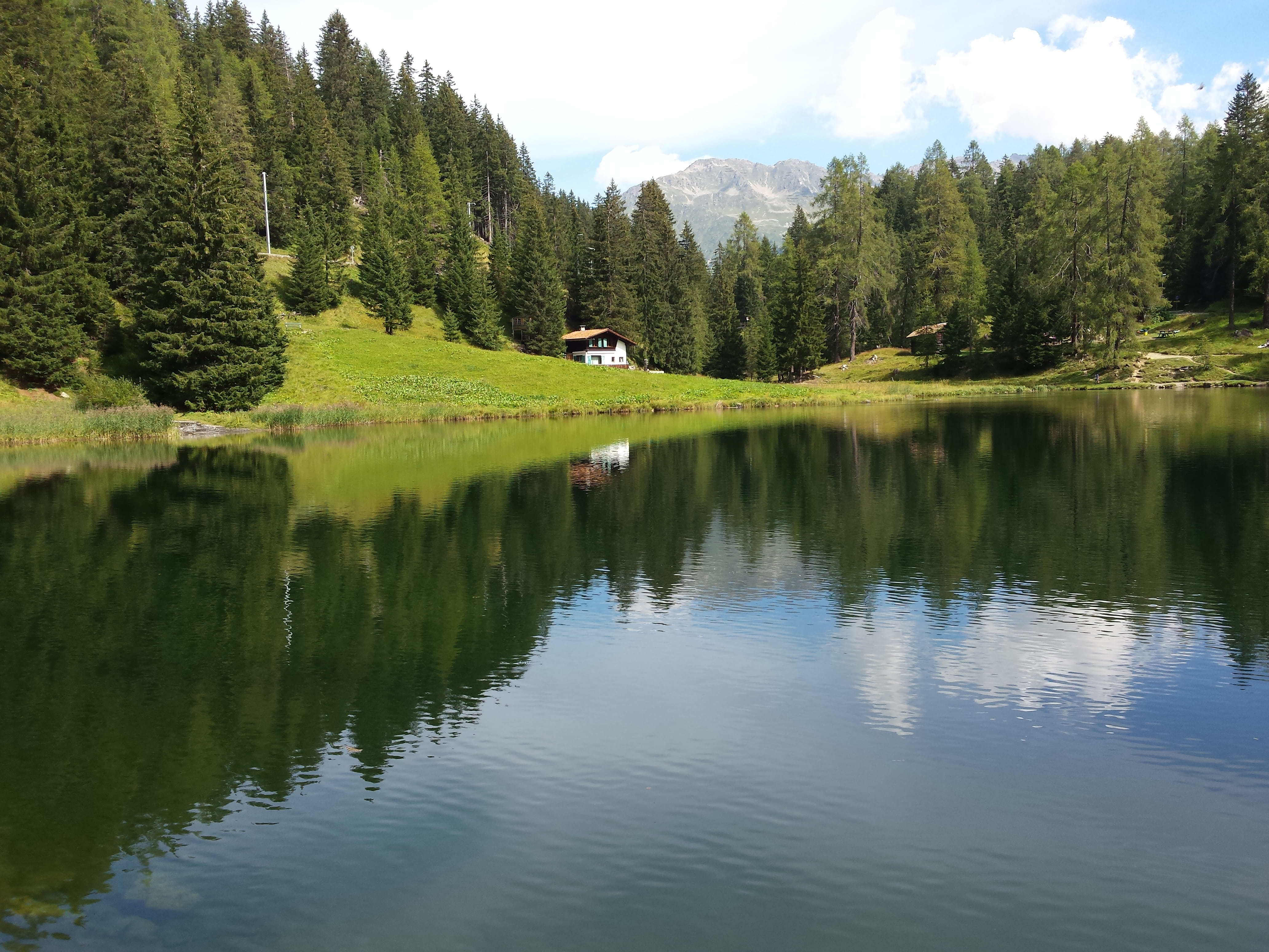 schwarzsee, day, tree, green color, outdoors, growth, smartphone, forest, tranquil scene, reflection lake, sky, reflection, non-urban scene, tranquility, HD Wallpaper