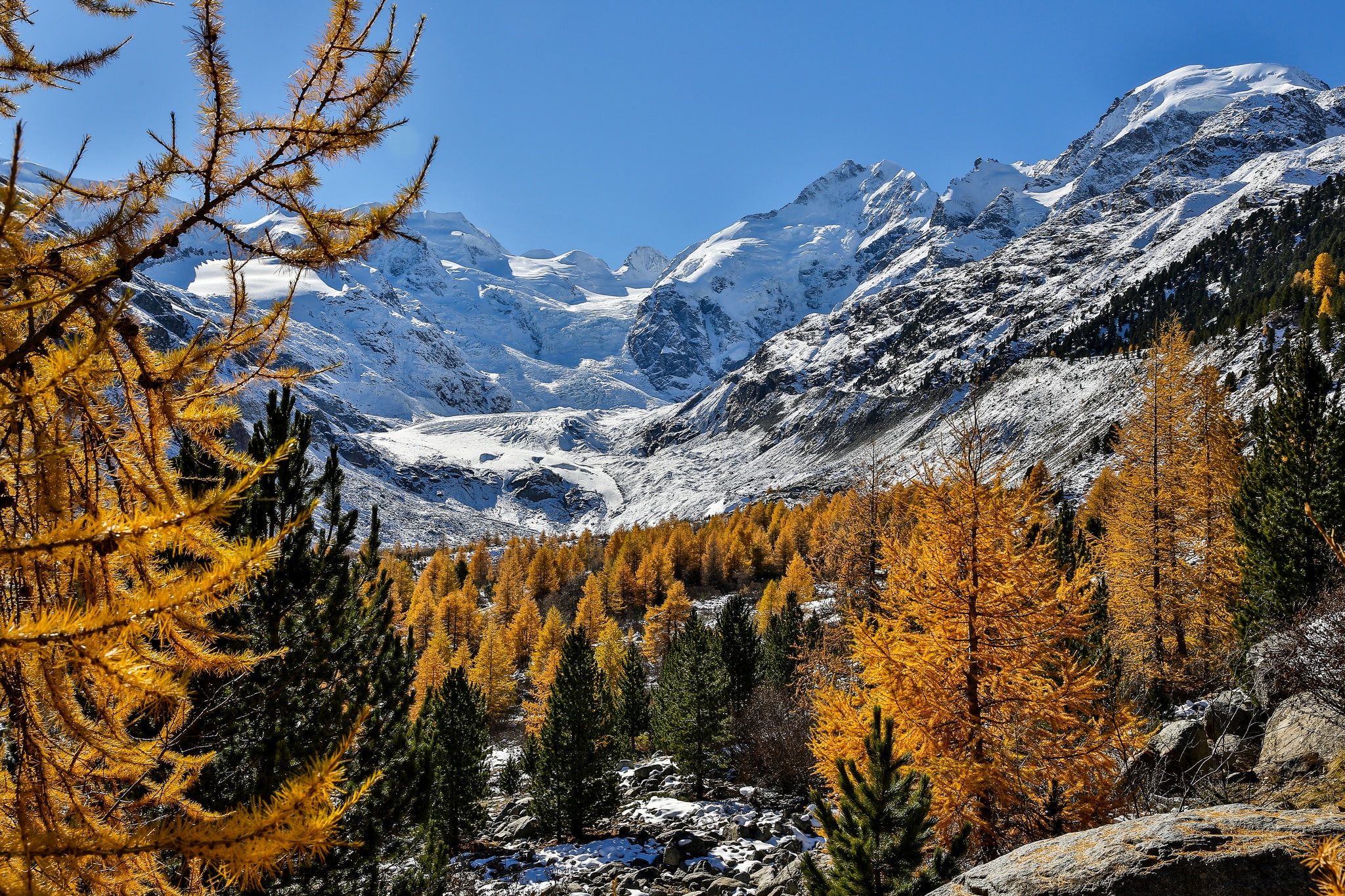 1080P, Bernina Range, Morteratsch Glacier, Bernina, Alps, autumn, The Morteratsch Glacier, Switzerland, mountains, trees, HD Wallpaper