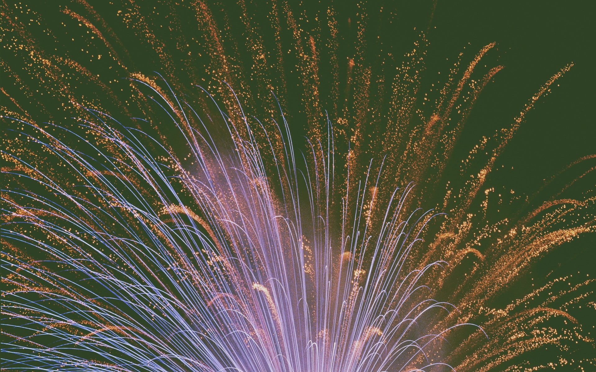 glowing, nature, no people, 1080P, light, motion, arts culture and entertainment, backgrounds, full frame, firework display, firework, illuminated, plant, HD Wallpaper