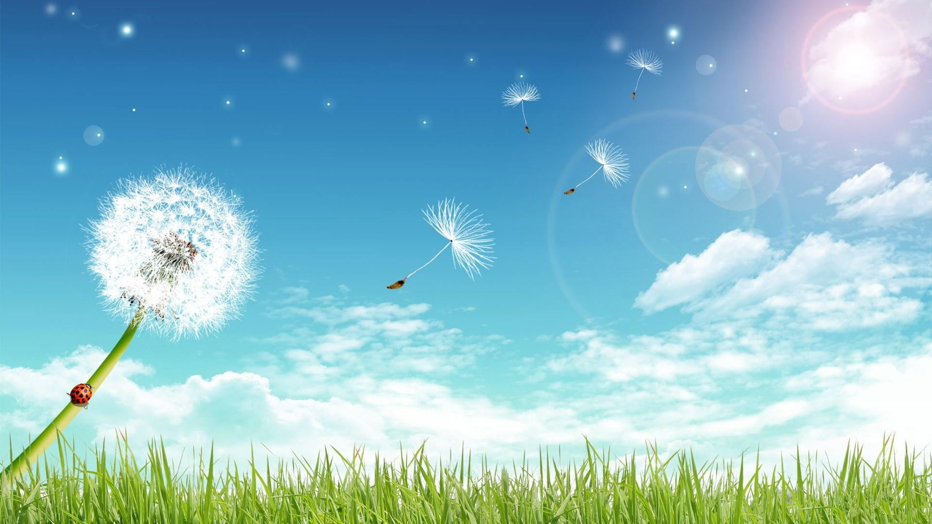 lens flare, sky, dandelion, nature, mid-air, plant, beauty in nature, meadow, blue sky, summer, no people, grass, land, blue, flower, dandelion seed, flying, HD Wallpaper