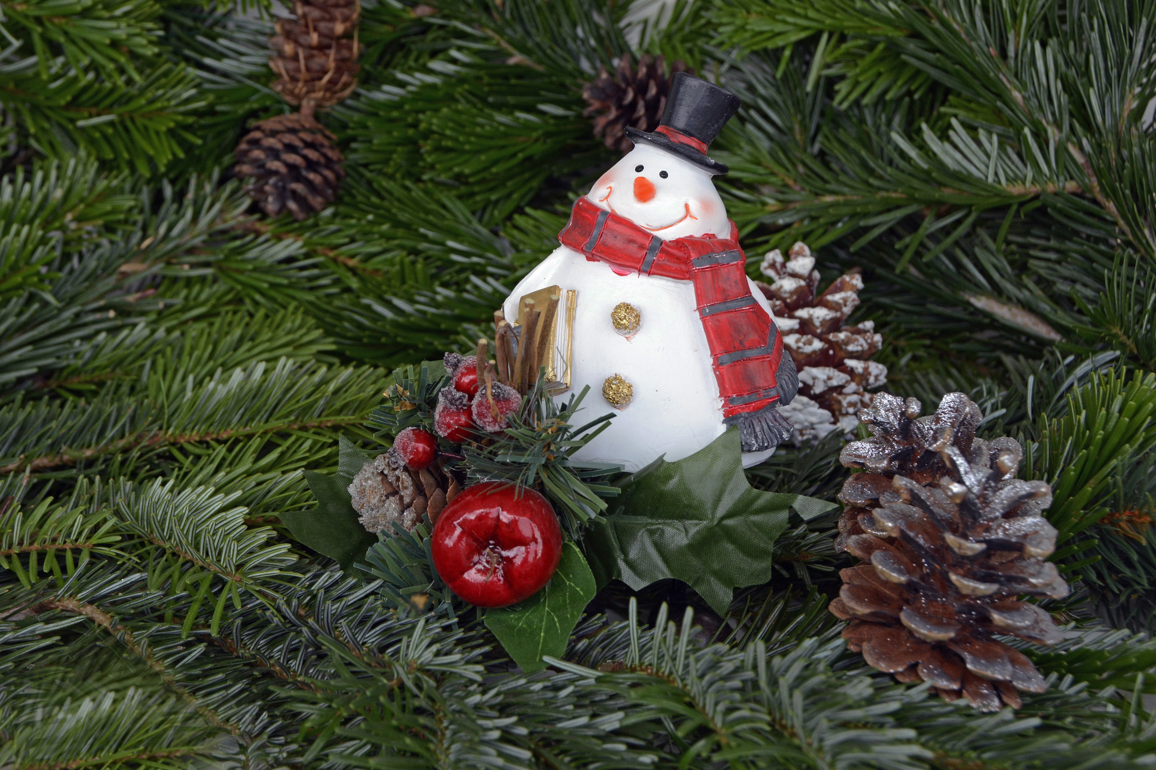 christmas ornament, santa claus, advent, feast of love, no people, christmas, fir tree, male likeness, 4K, christmas decoration, christmas wishes, plant, HD Wallpaper
