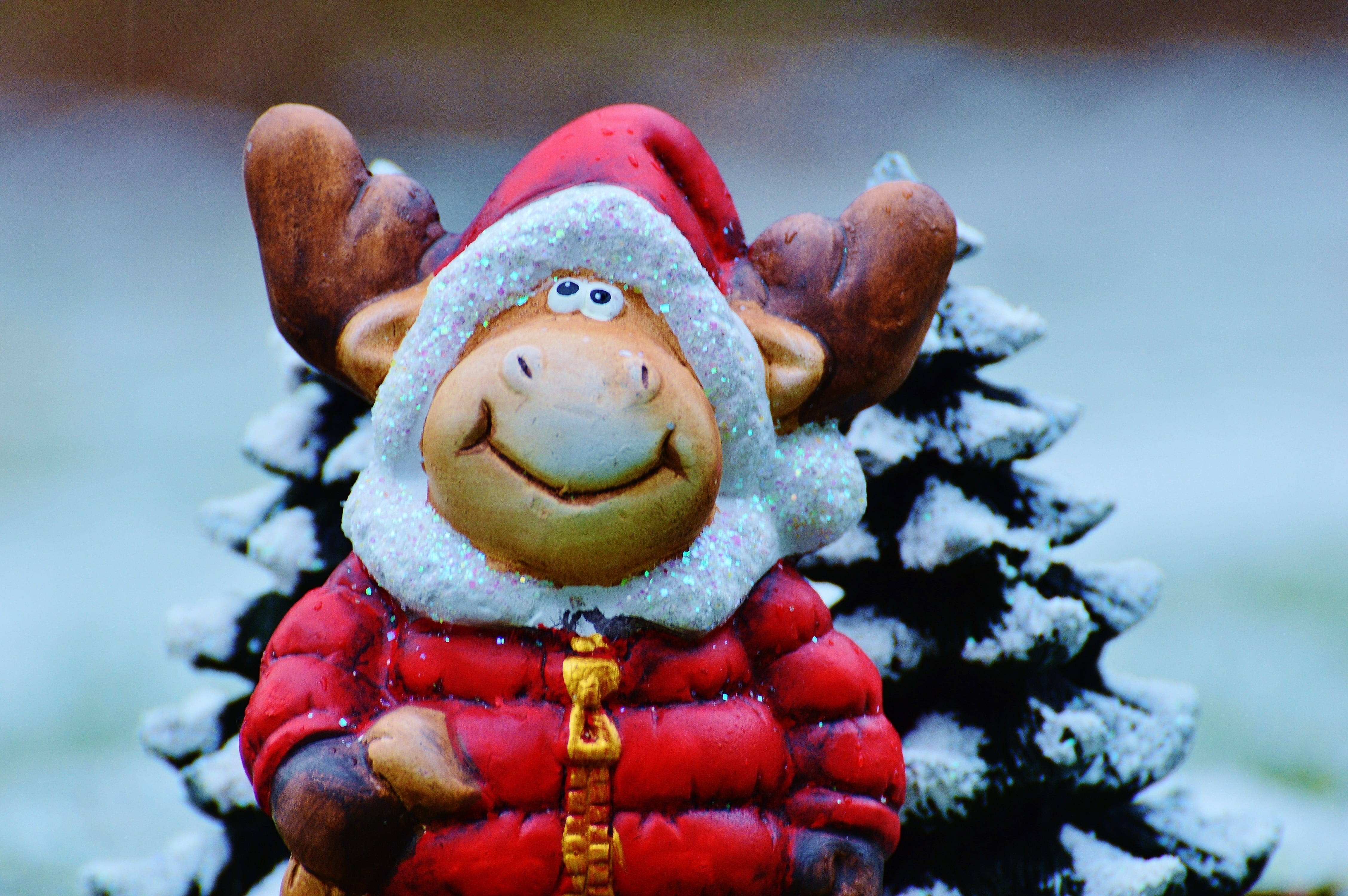 warm clothing, animal, christmas greeting, representation, close-up, greeting card, cold temperature, humor, christmas moose, mood, happy, 4K, holidays, HD Wallpaper