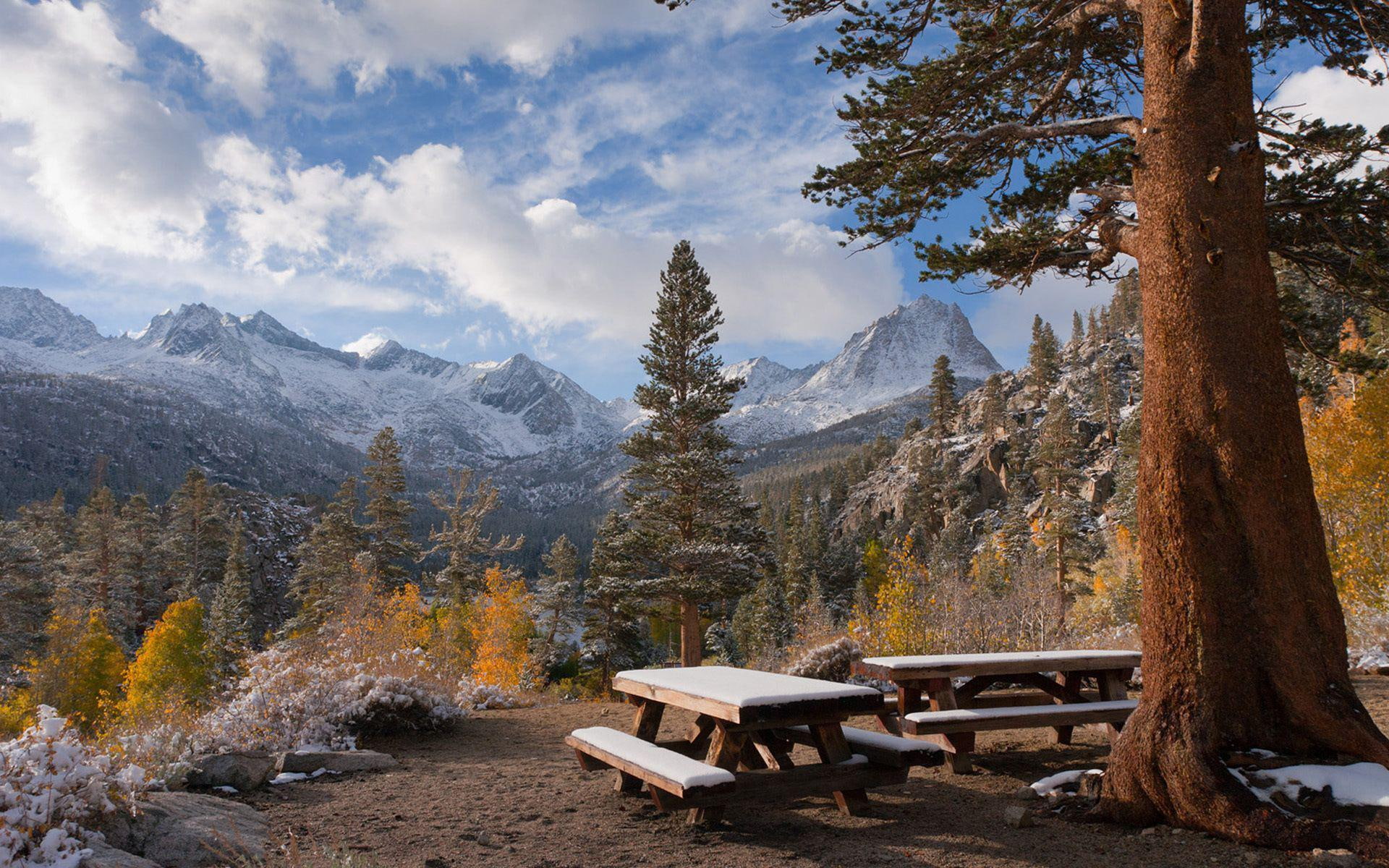 sunny, wooden, mountains, mountain, 1080P, tables, tree, 1920x1200, picnic, cloud, day, forest, nature, bench, white, HD Wallpaper